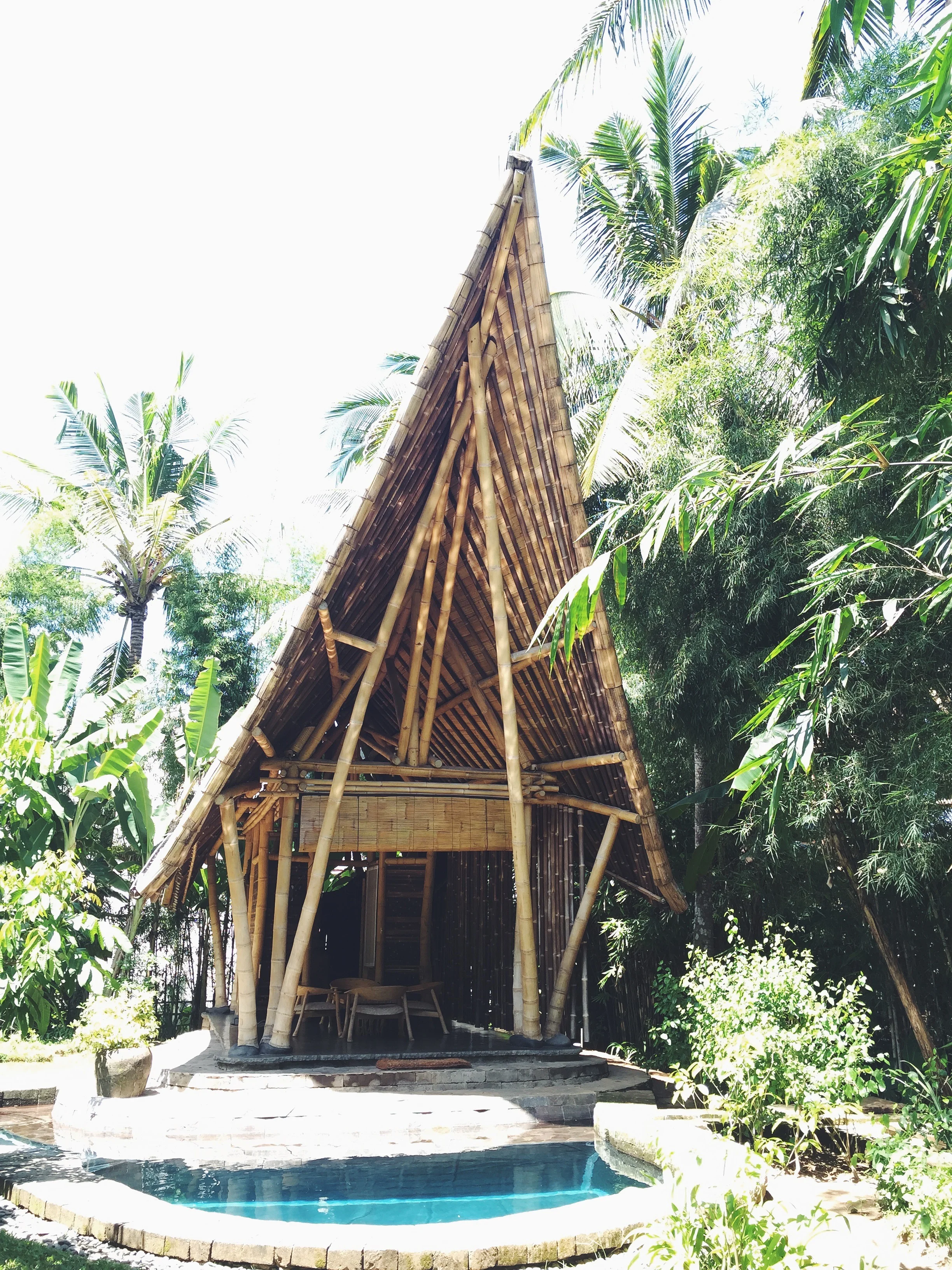 We also visited The Green Village, a community of houses made entirely of bamboo.
