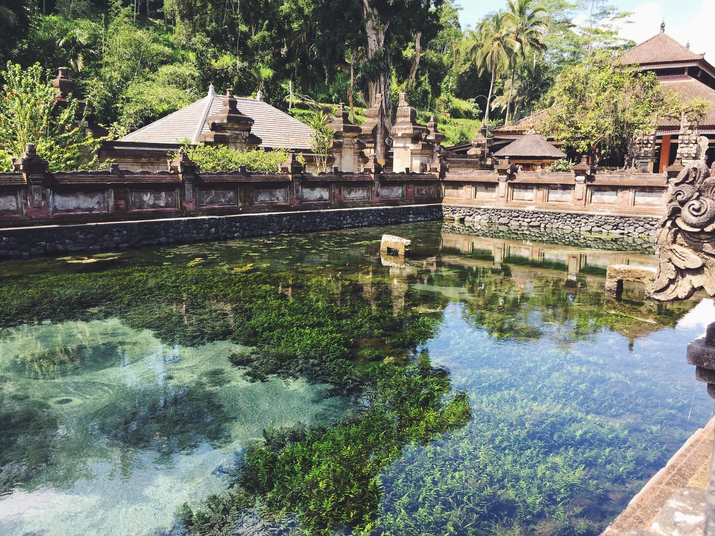 This temple has a natural spring inside it. Around the outside are spouts that let the water, which is considered holy and very cleansing, flow into separate pools. In these pools people line up submerged themselves under each spouts literally be glanced by the water and by the Gods.