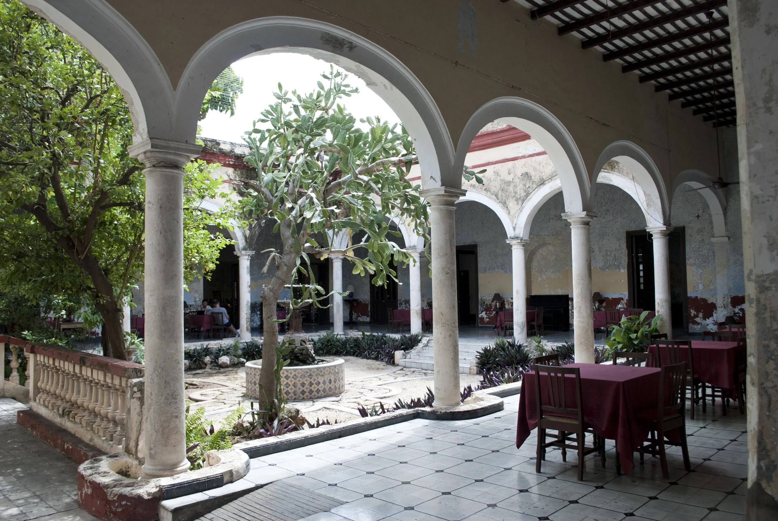 DSC_1645.jpg