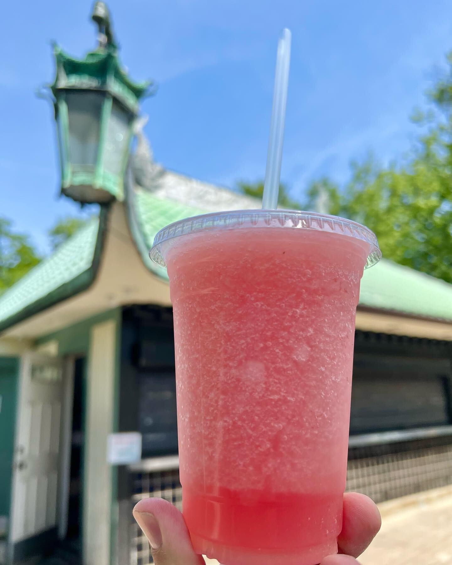 Made with fresh Watermelons, this Freeze will become your summer ❤️