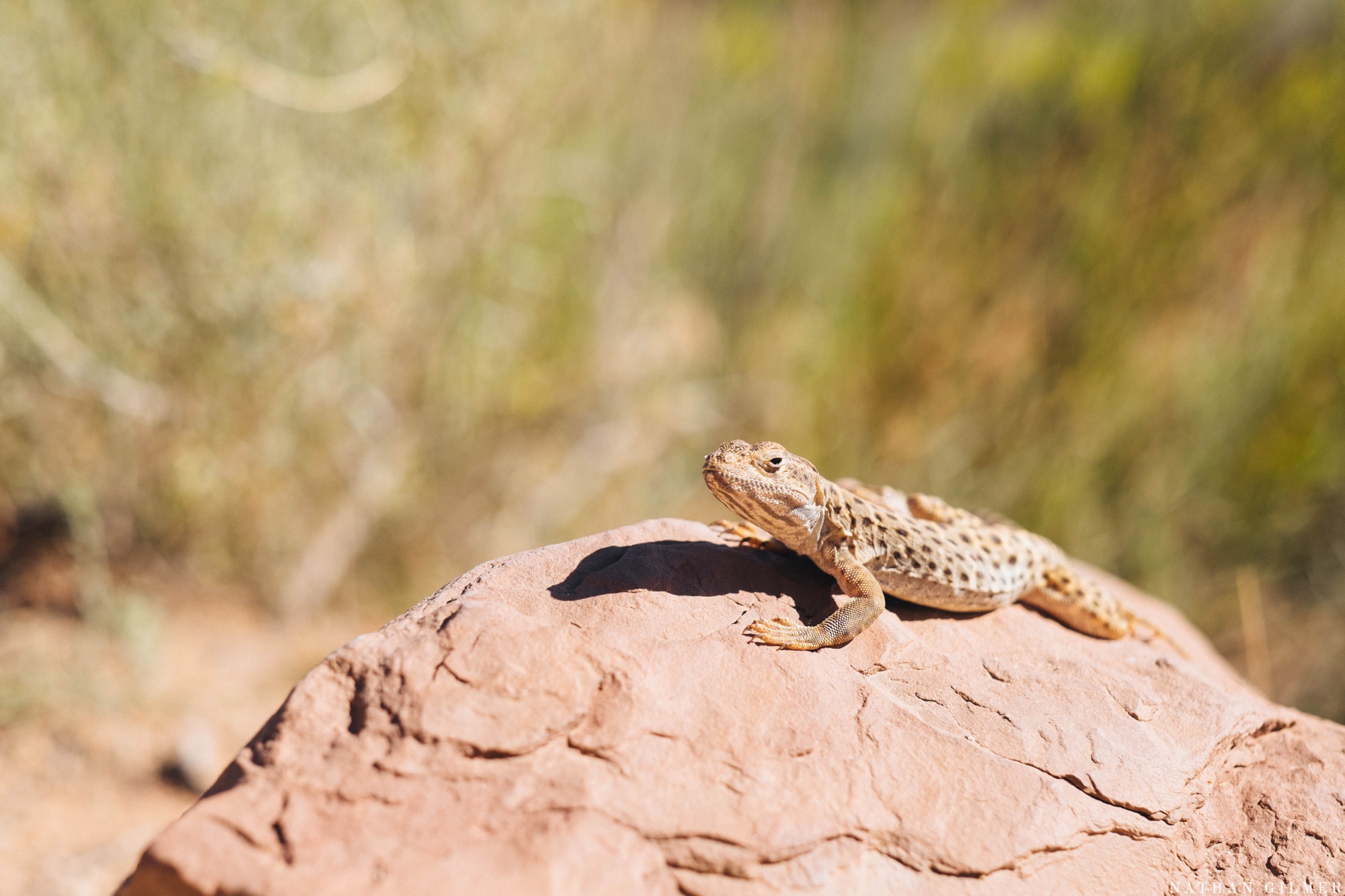 Family Adventure Blog_0887.jpg
