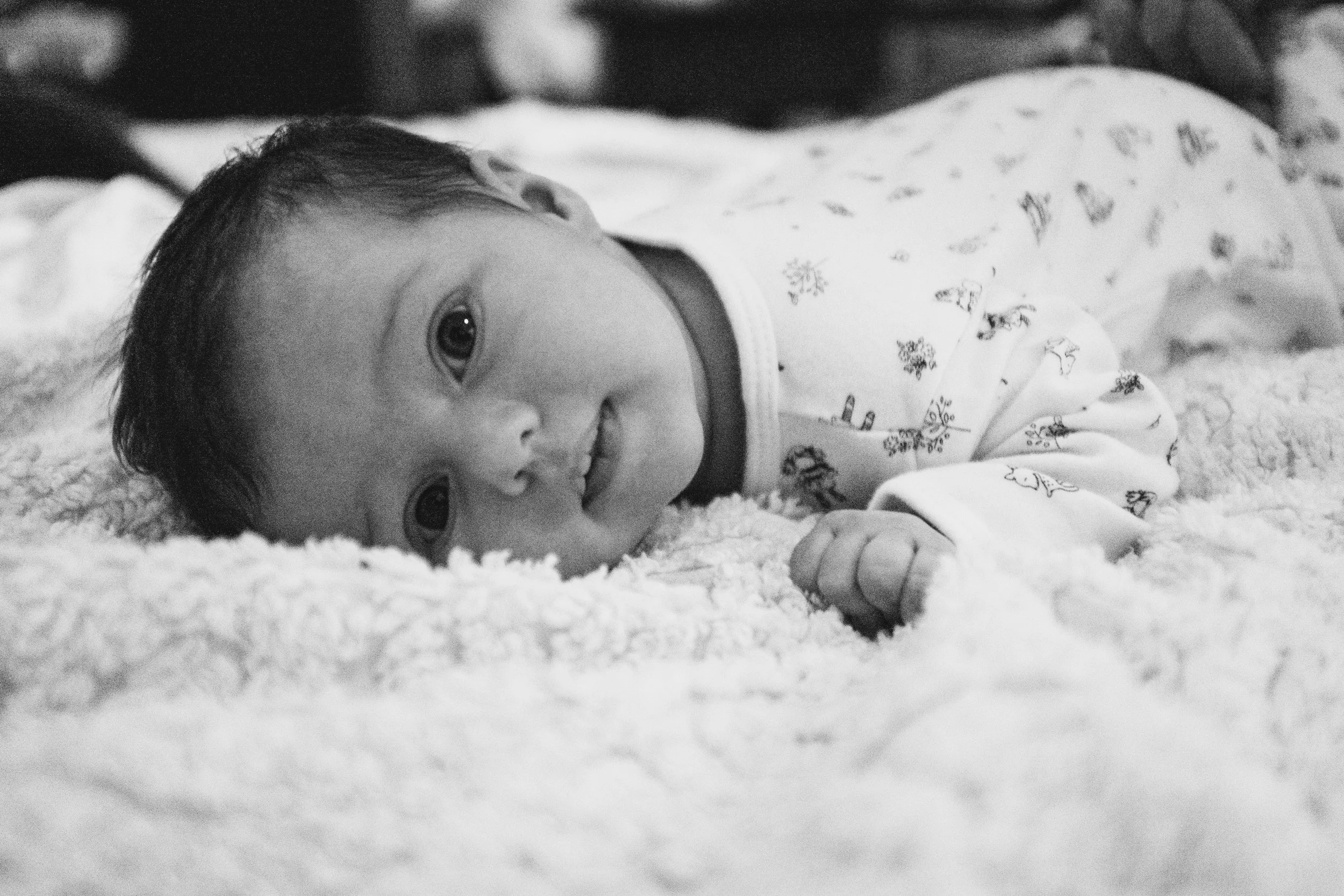 20151116-untitled-14.jpg