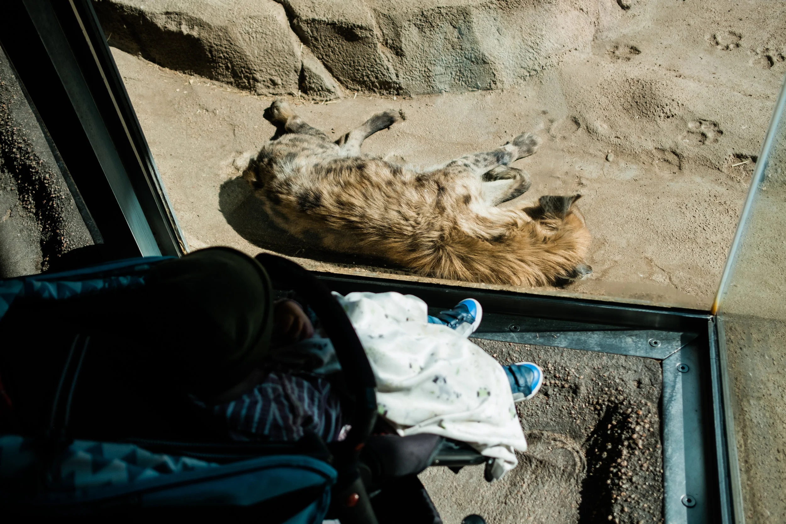 20190310-DSCF3283.jpg
