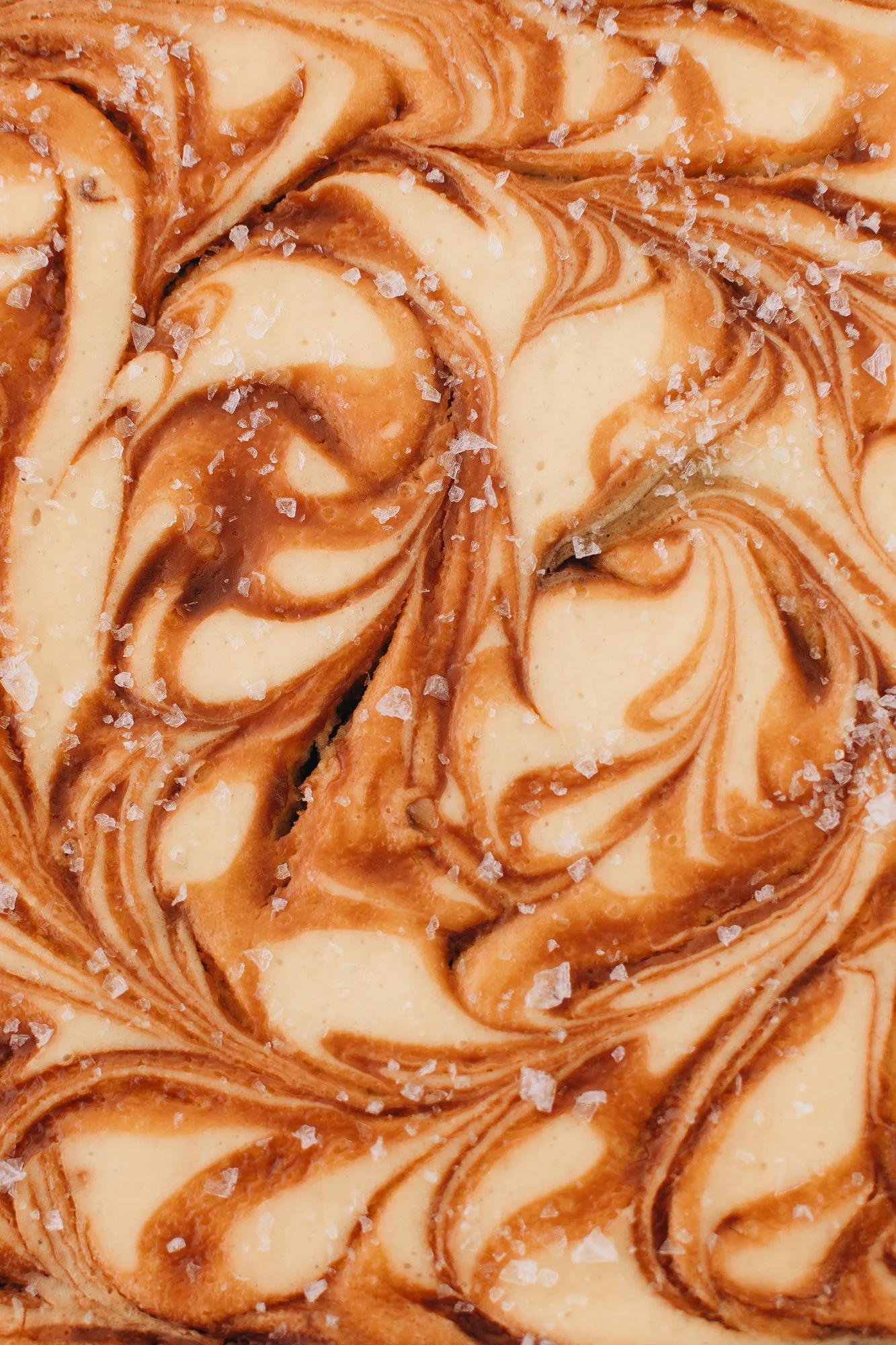 suarez-bakery-park-rd-charlotte-nc-salted-caramel-brownie-take-home-pan-05-web.jpg