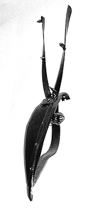 Bird Head