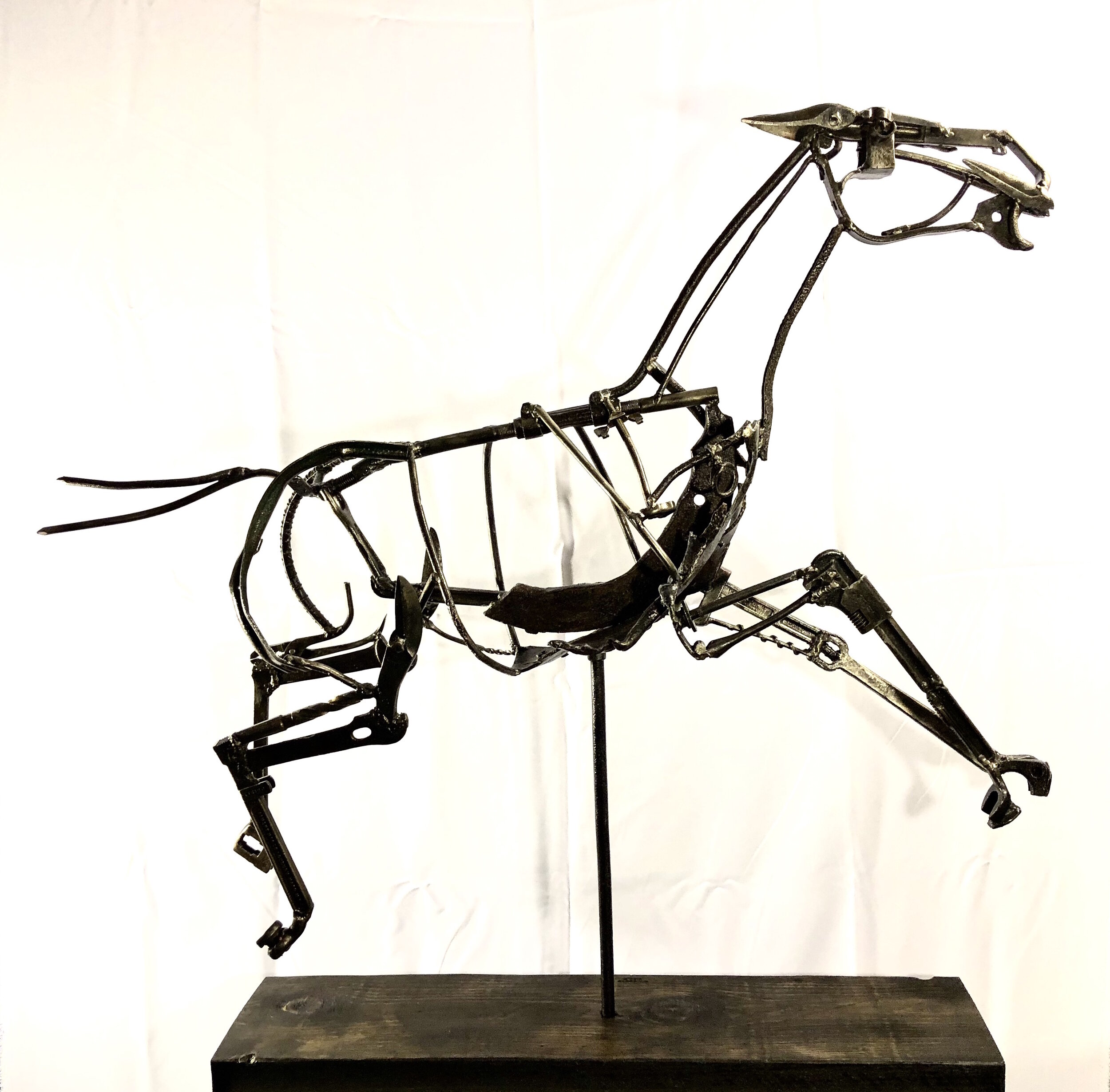 "Eohippus"