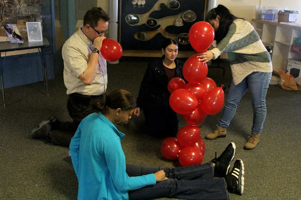 10996667_1617737321793424_8937841309051029349_n.jpg