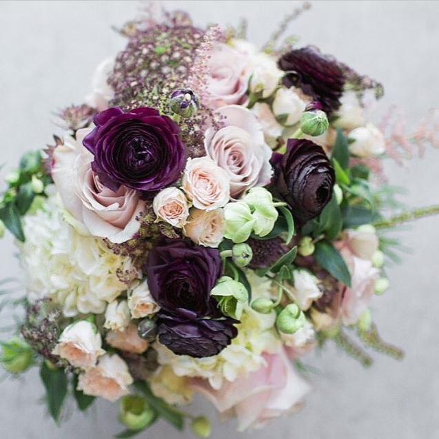  Image: Toni Rae Photography