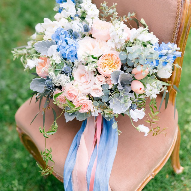  Image: Anna Kardos Photograph y