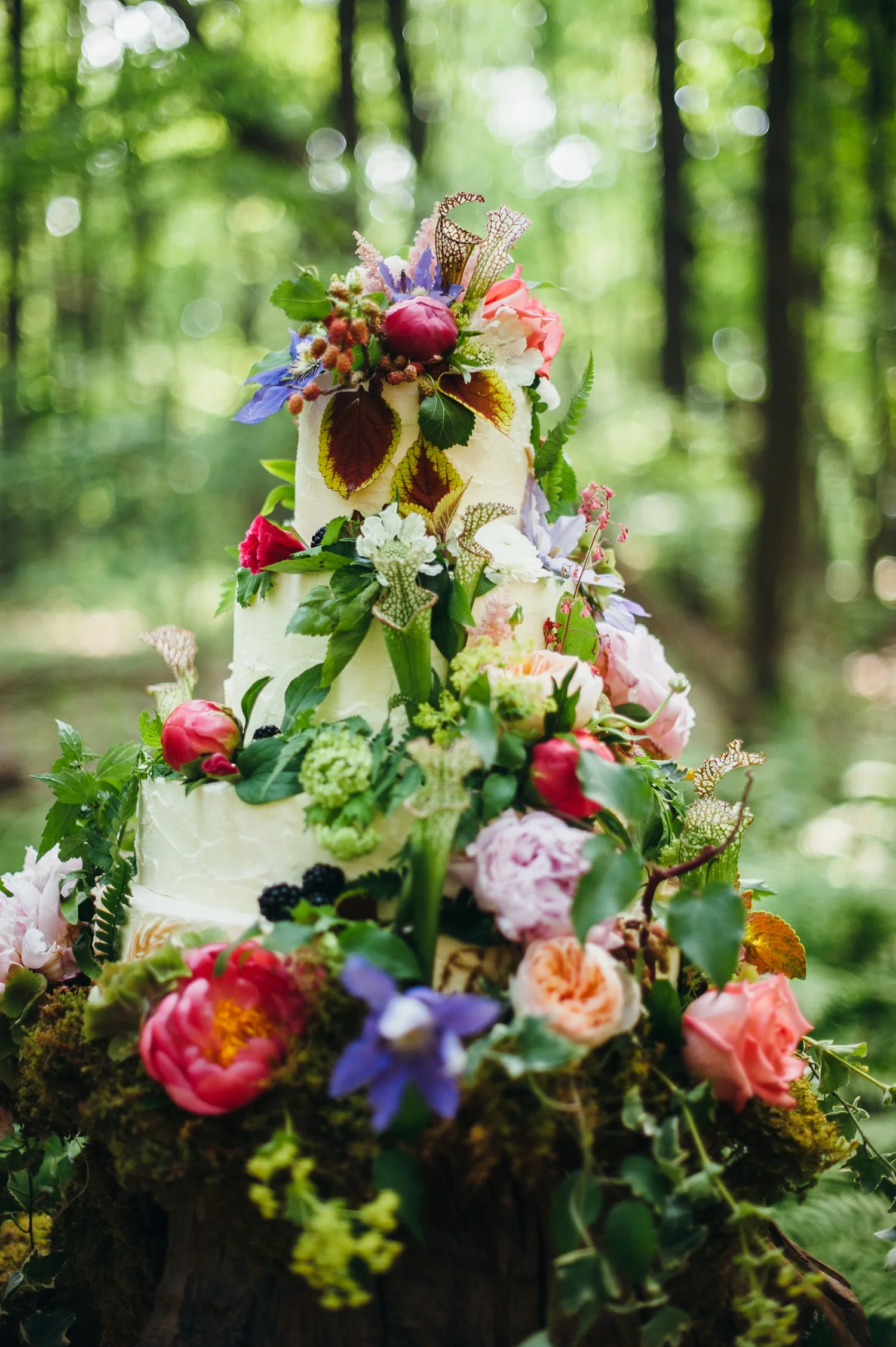 Mt. Lebanon Floral Image courtesy of Veronica Varos Photography