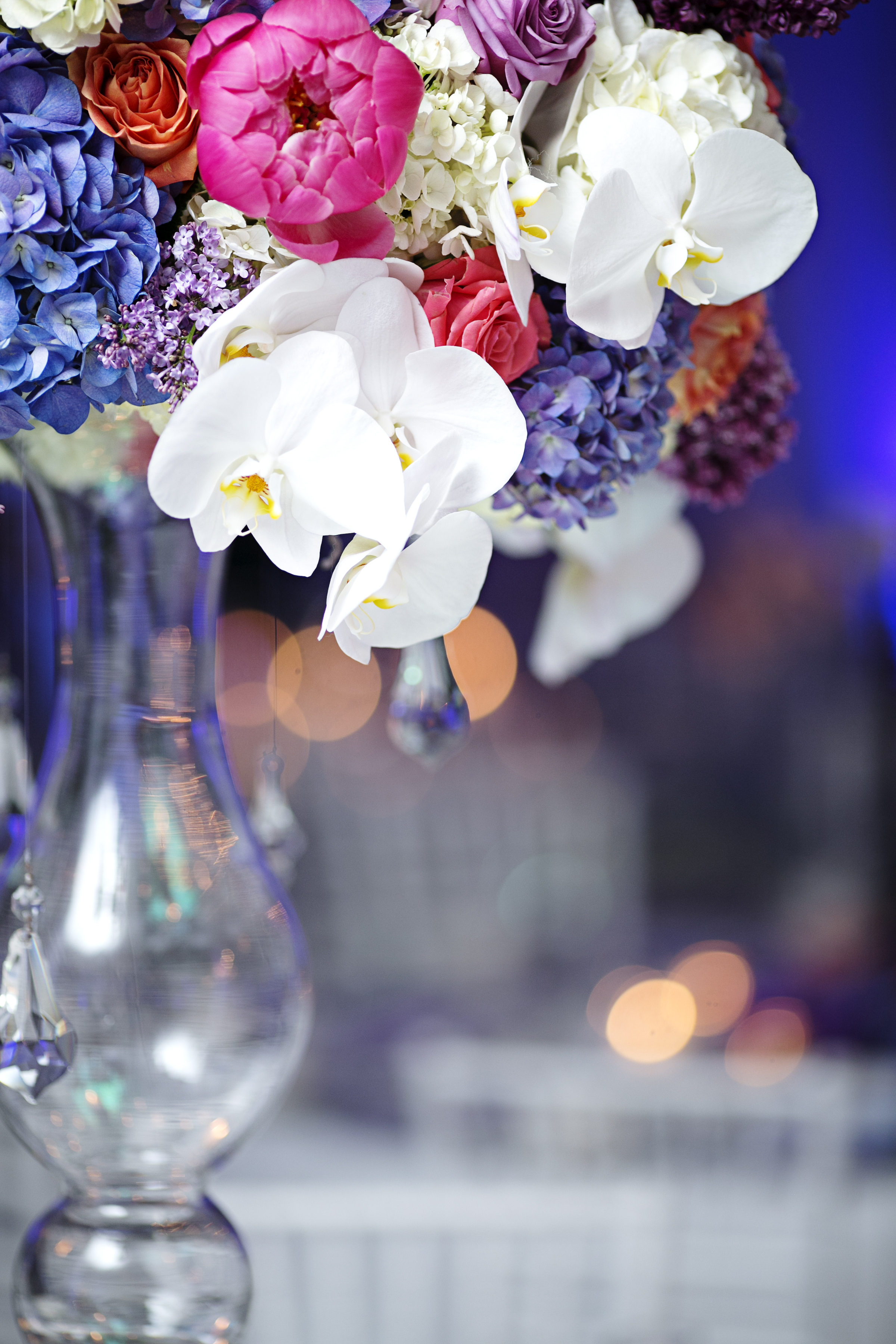 Stacy K Floral Image courtesy of Tammy Swales Studio
