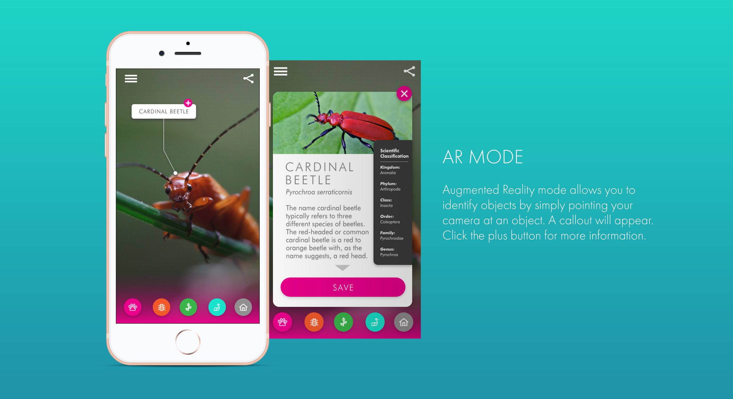 WildThings_Mockup_AR_Port.jpg