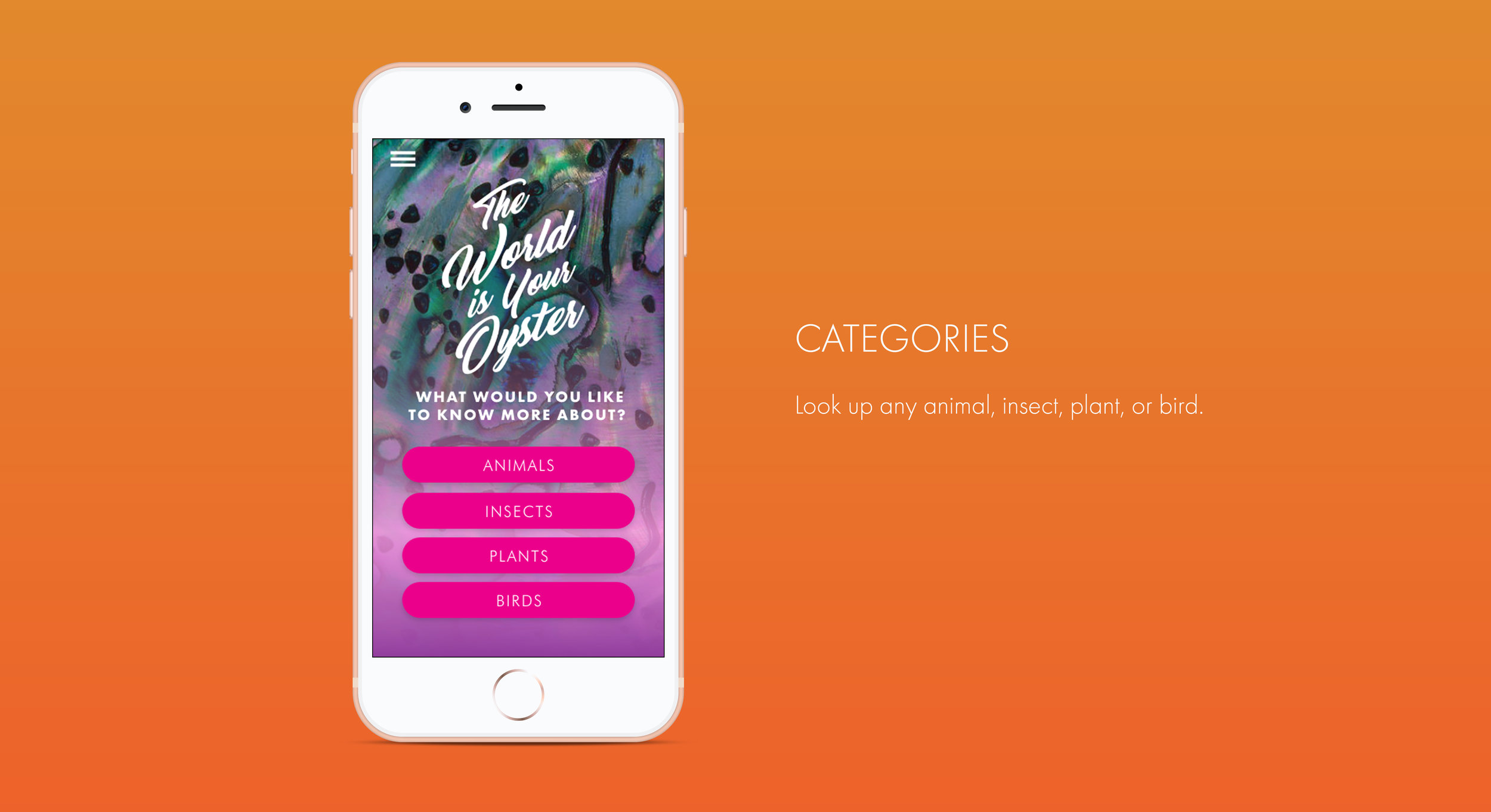 WildThings_Mockup_Categories_Port.jpg