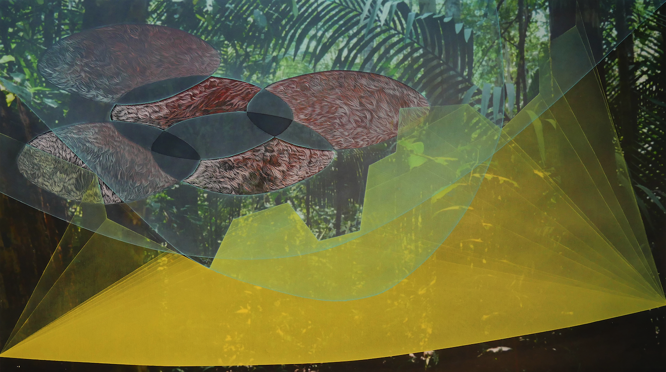 Green Scotoma. Mixed media on paper (digital photograph, oil and ink), 17” x 30”, 2016. Photos taken at Adolpho Ducke Rainforest Reserve, Manaus, Brazil