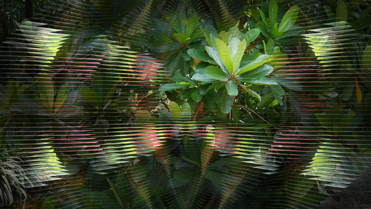 Last Day's Search (24) . 3D rendering and digital photograph on paper, 8.5" x 15", 2017