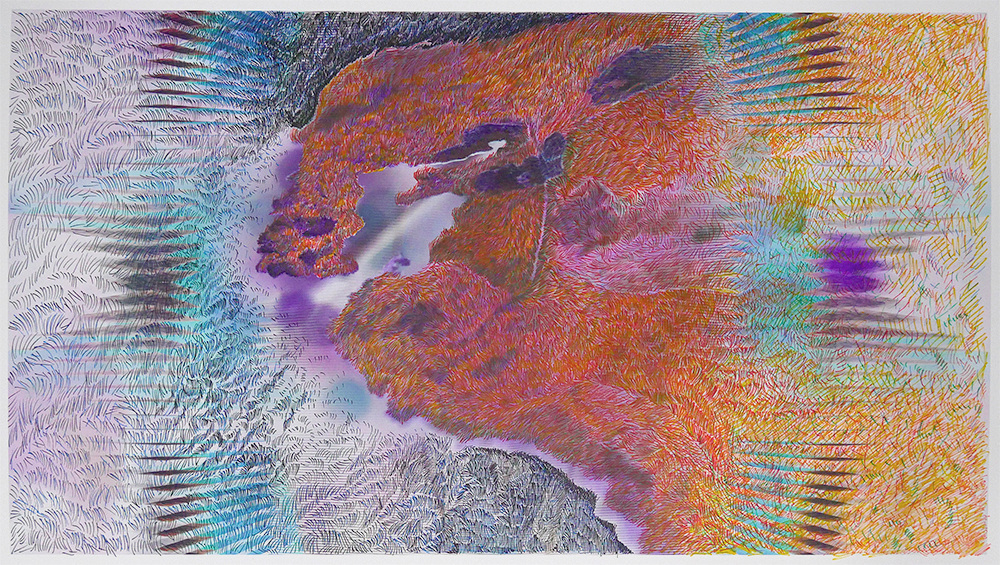 Blind Forest (lichen). Pen and ink over digital photograph on paper, 8.5” x 15”, 2018