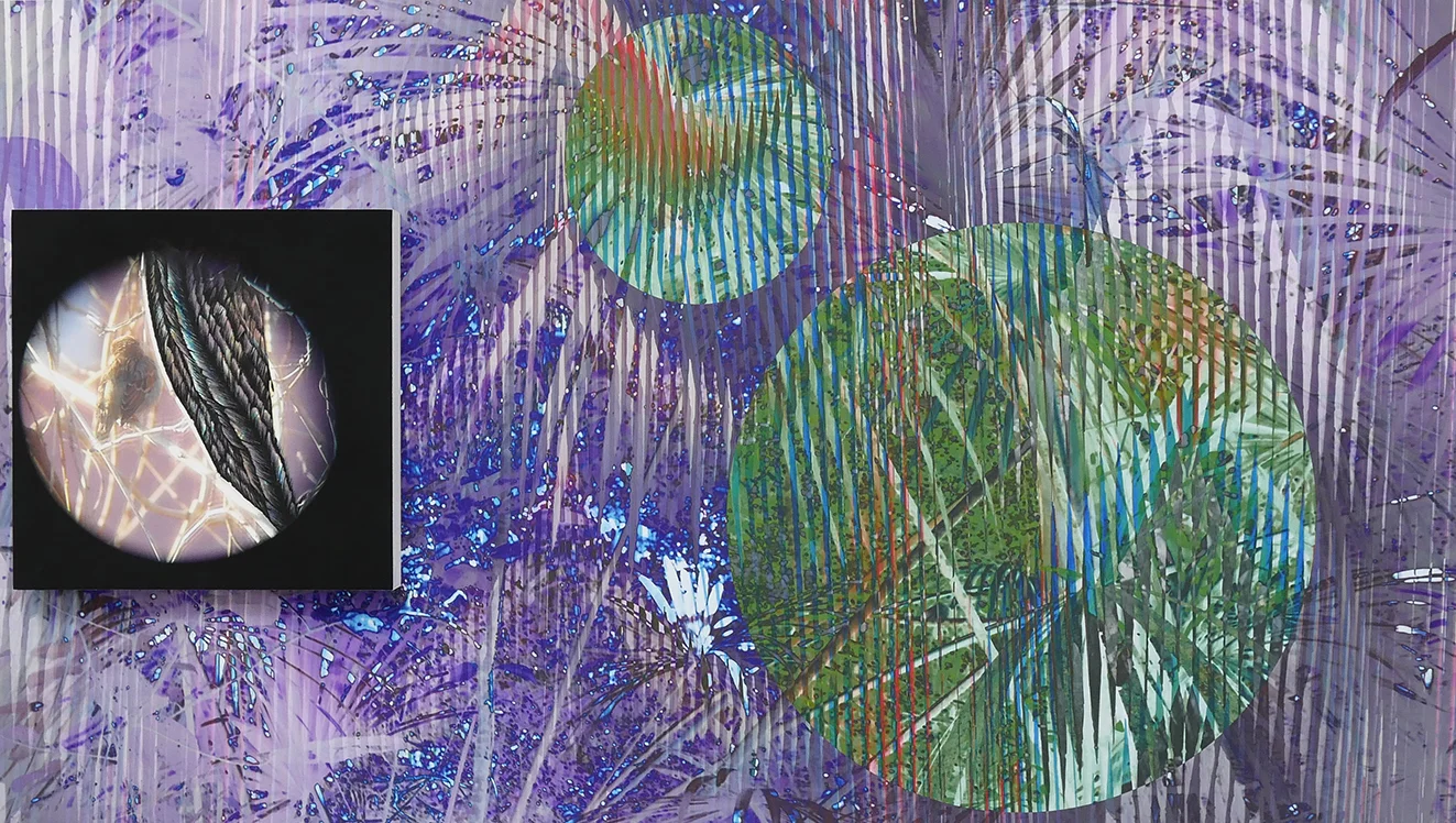 Blind Forest Installation , detail, mixed media (photo, drawing, screen prints), 2019.