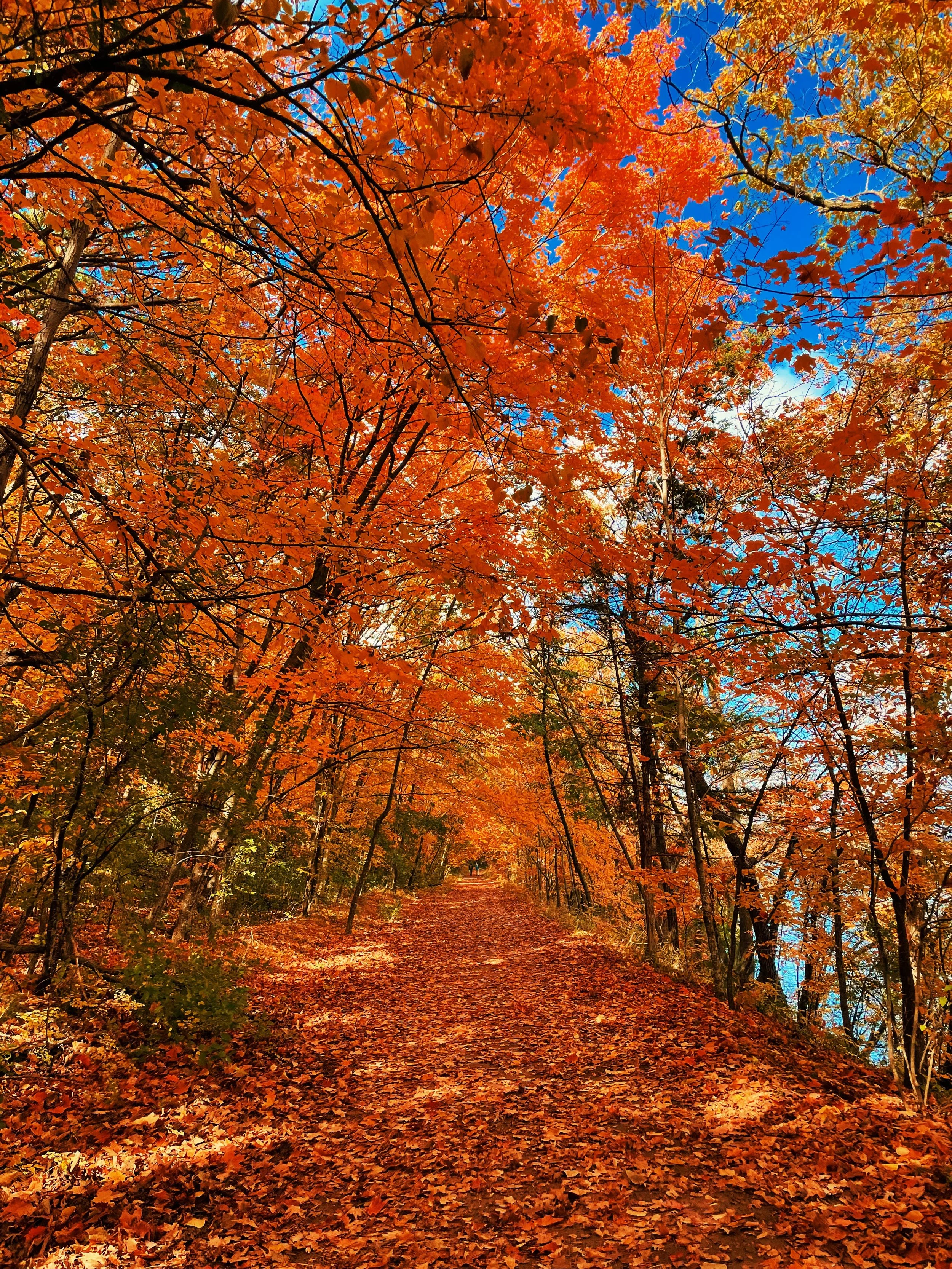 480D7B6A-D455-4B9B-9193-A7E8149DC5CA 2.JPG