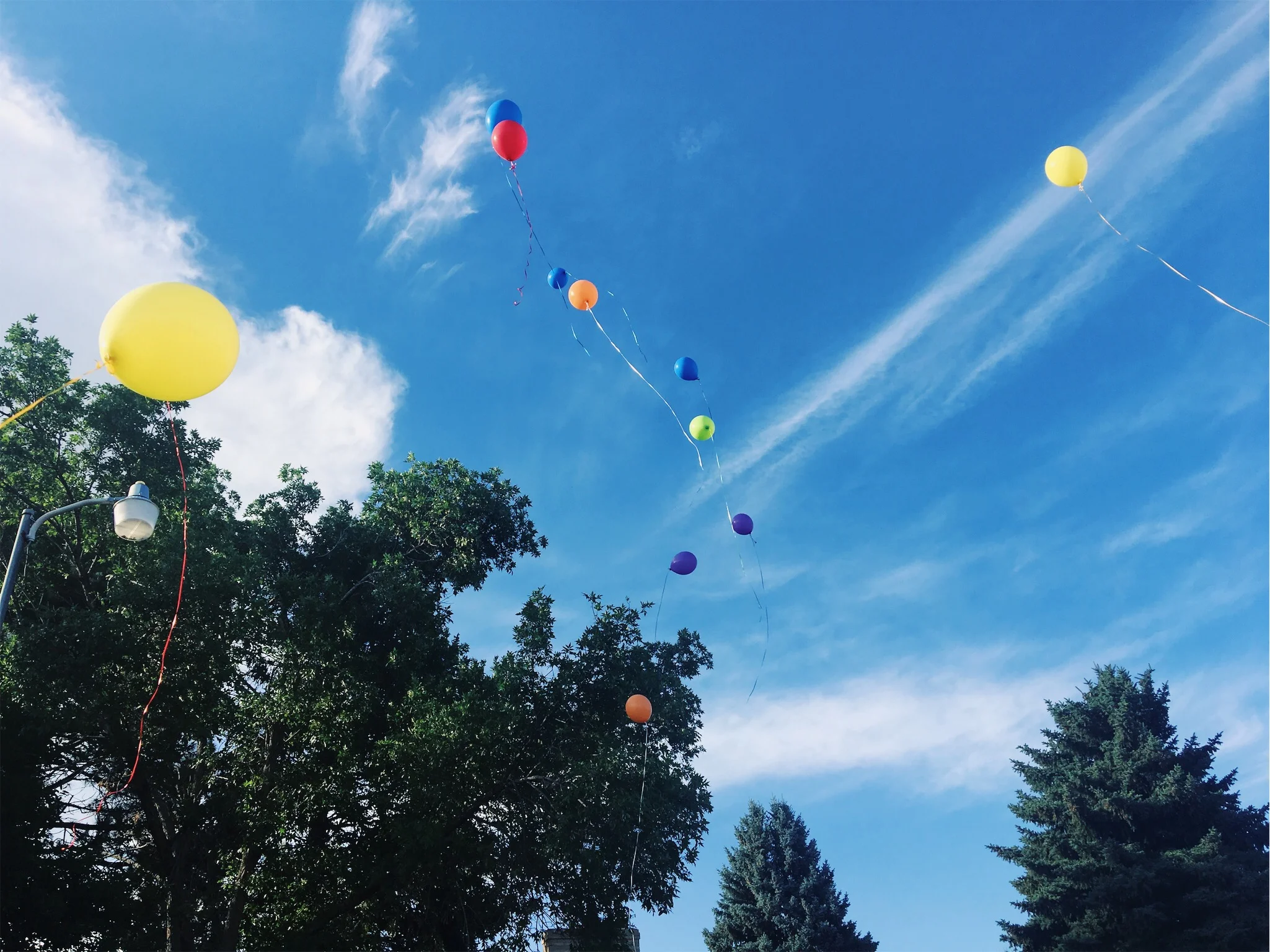 vsco_071817.jpg