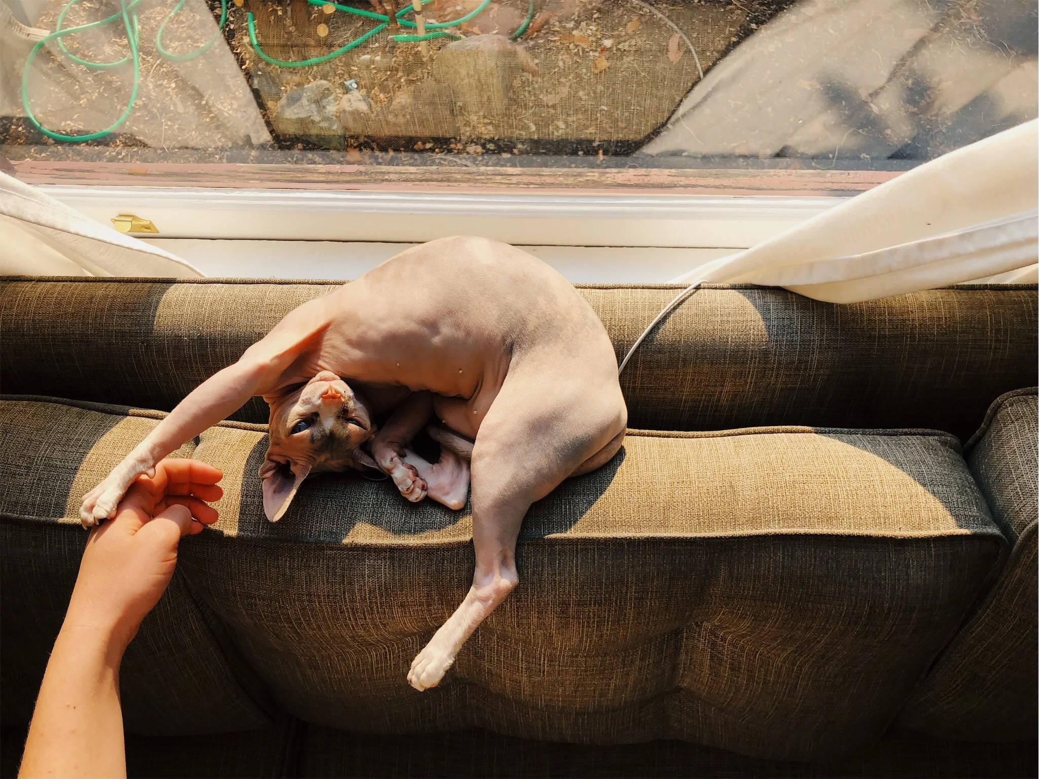 vsco5b688dda086ad.jpg