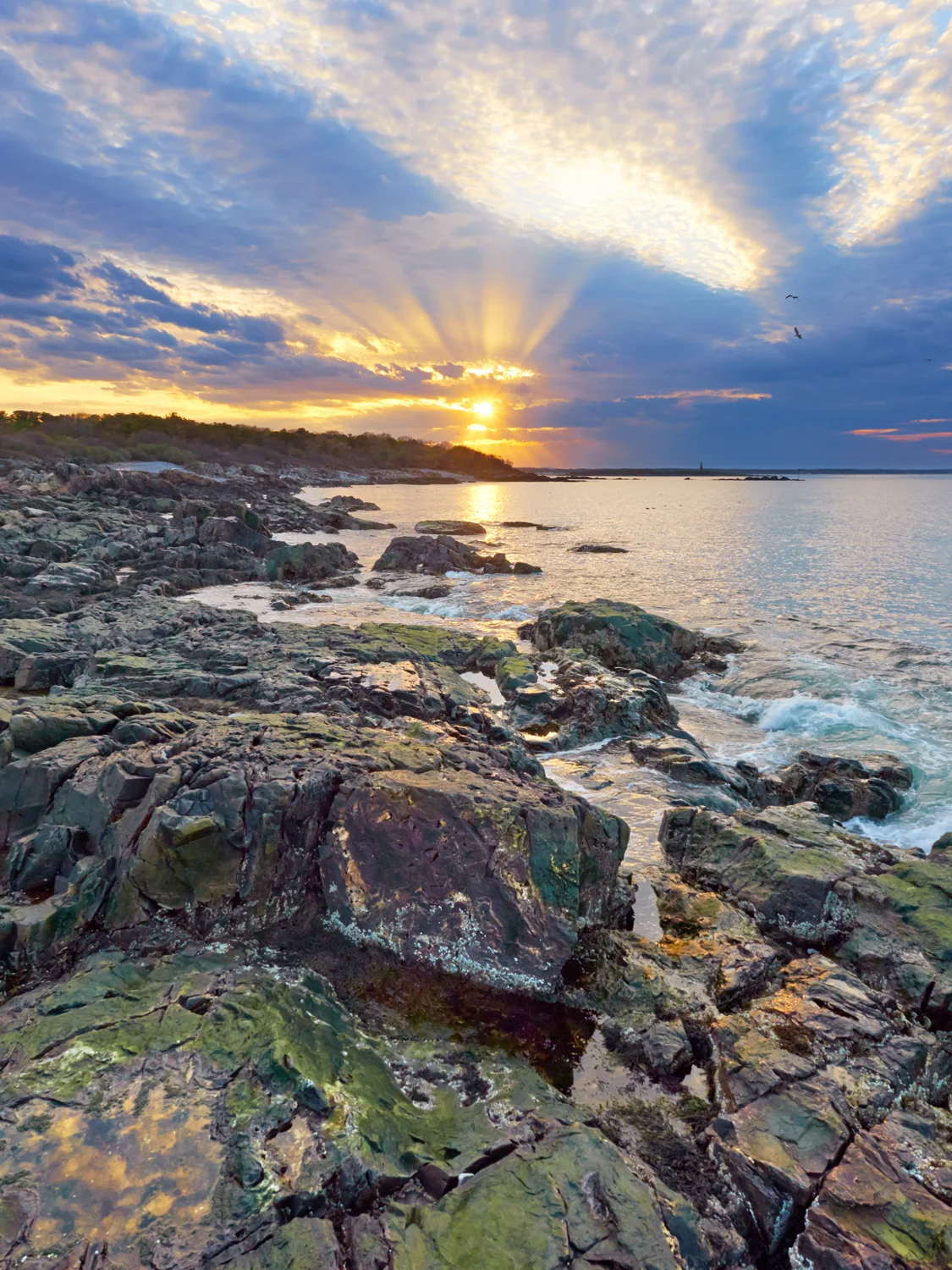 Biddeford Point Sunset #1