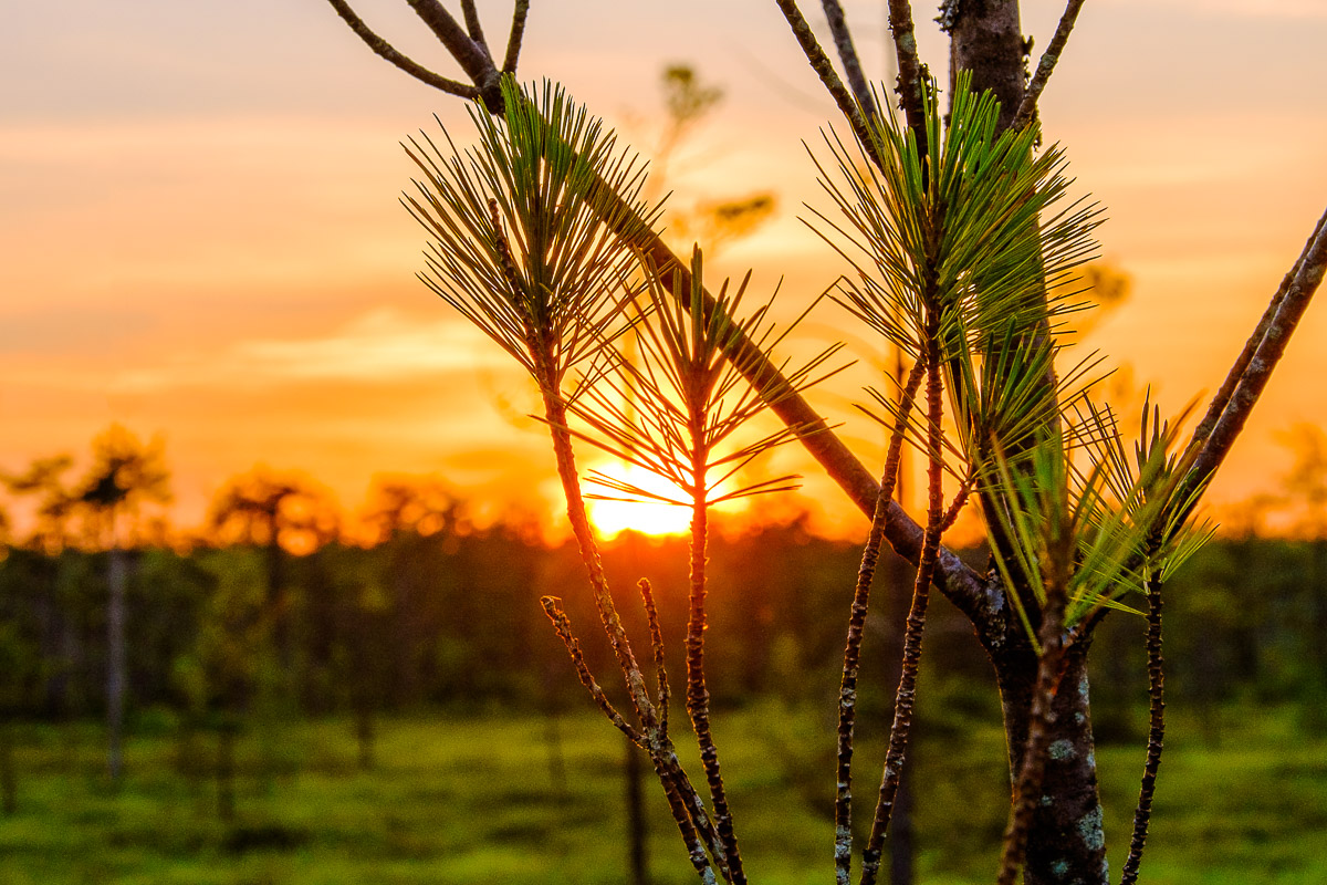 06_30_14_Saco_Heath (68 of 74)-Edit.jpg