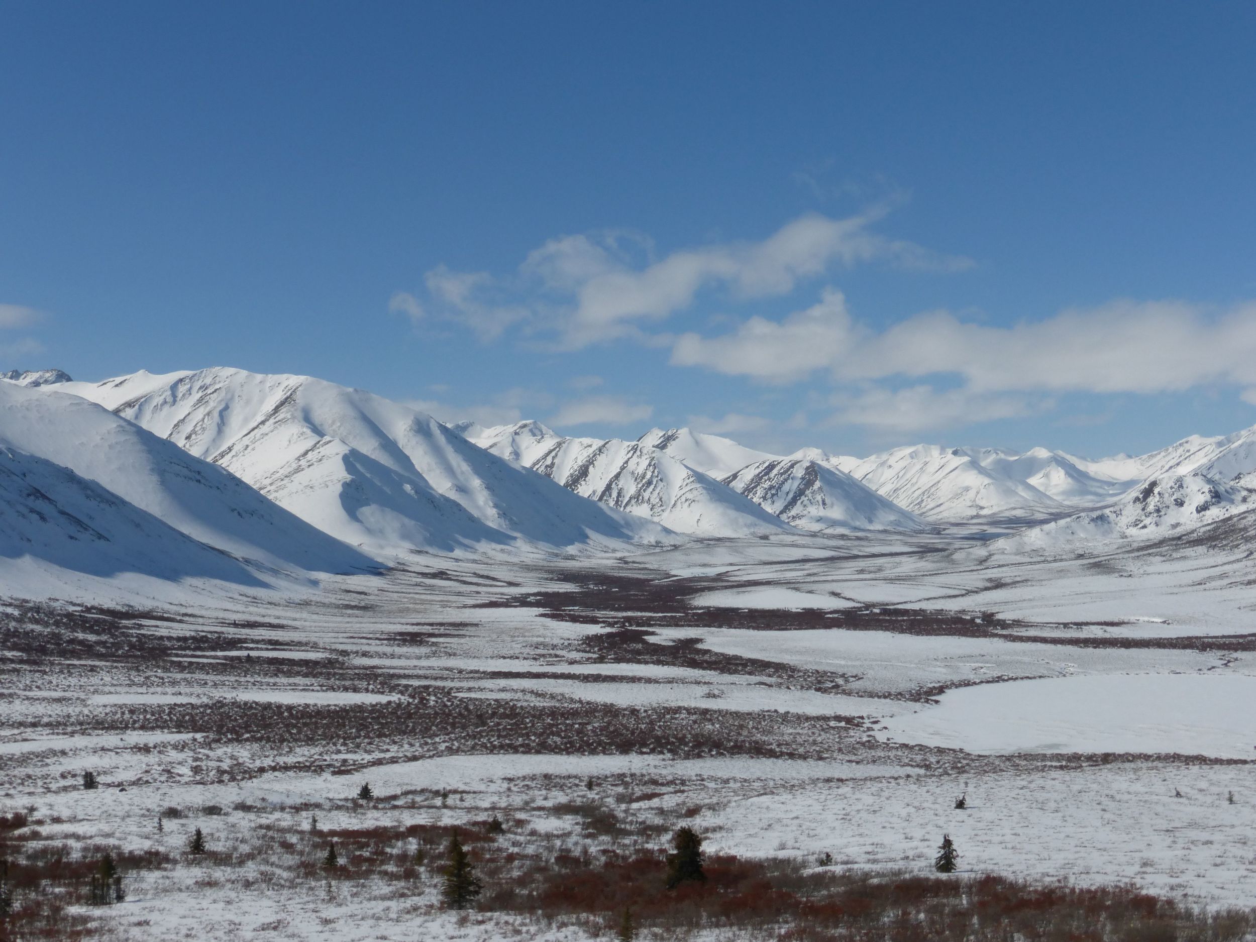 The view near Tombstone mountain park