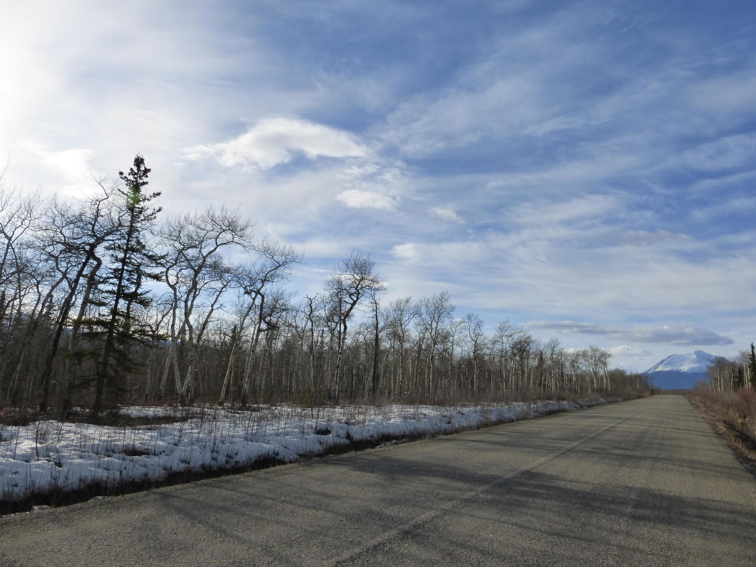 Back on the 100km Atlin Road