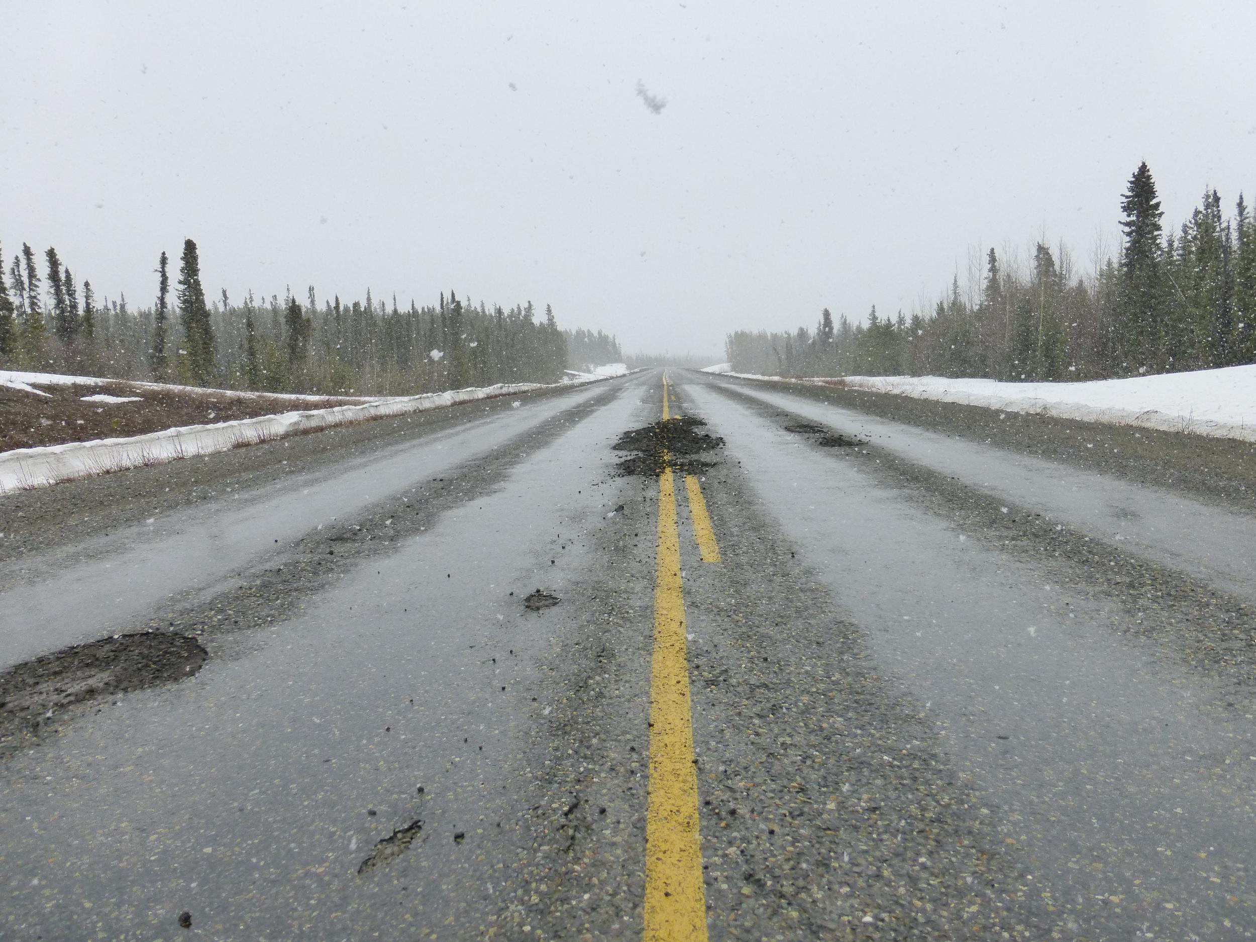It's spring, flowers and trees are blooming and so is the Alaska Highway. The Klondike was worse - they had even stripped large sections and were re-paving them because of the thawing damage.