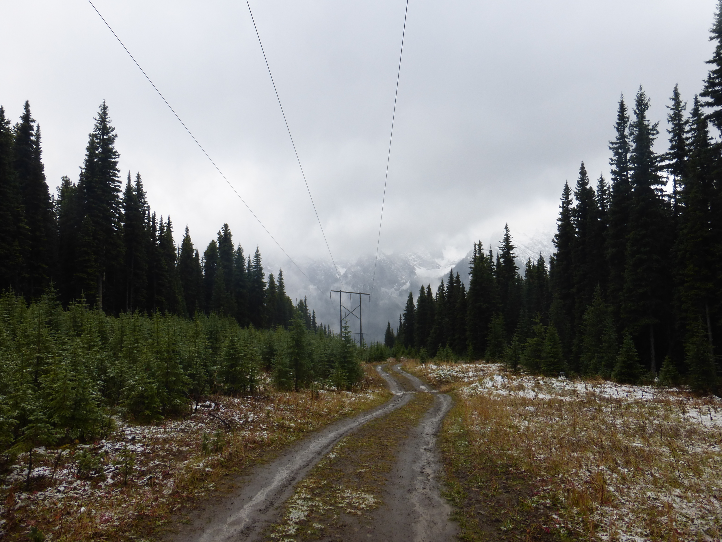My brake pads fell off my front break, leaving me with only rear brake and making this beautiful descent into British Columbia a whole lot more exciting.