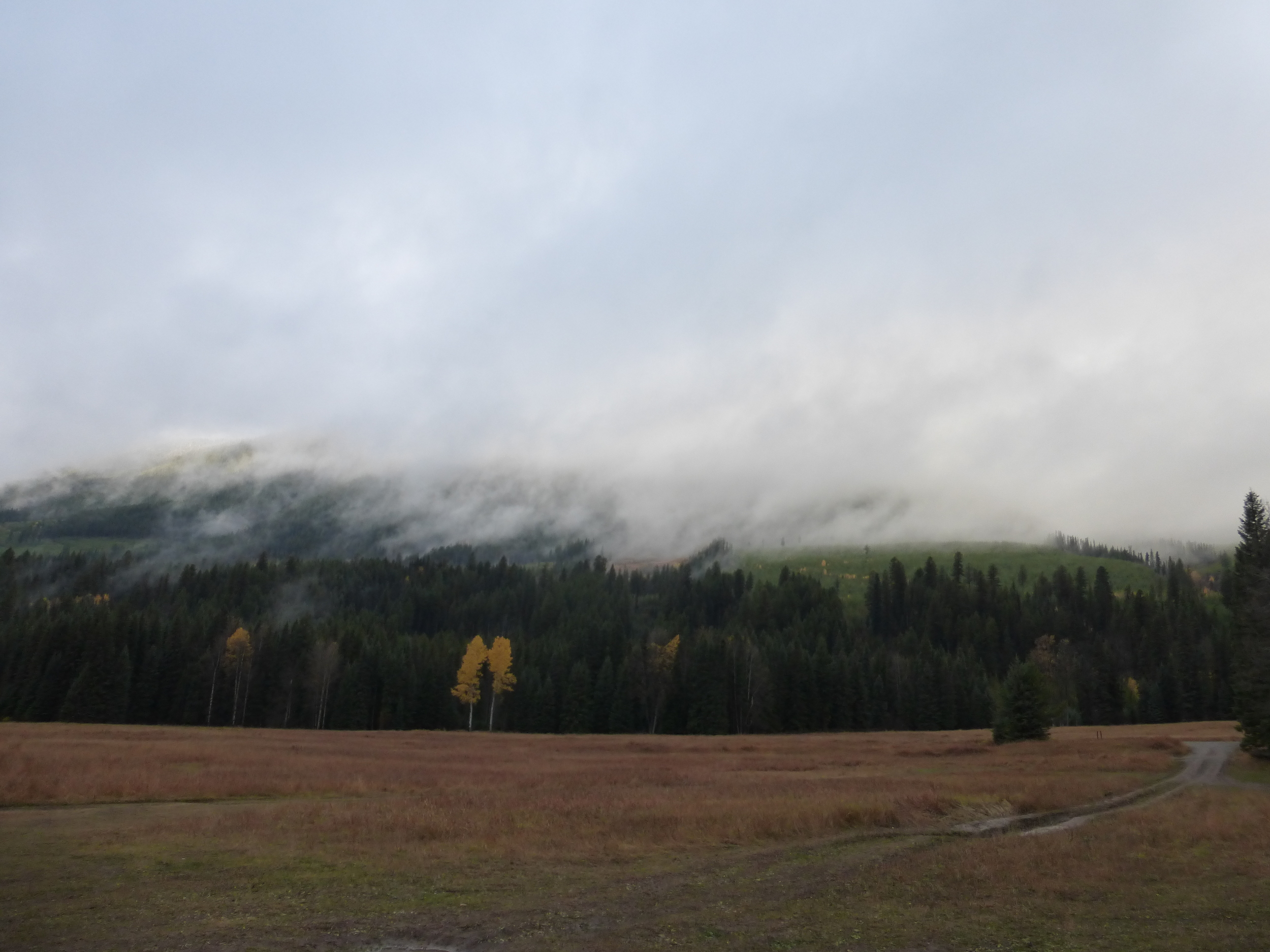 Hunter camp meadow (click to see full size)