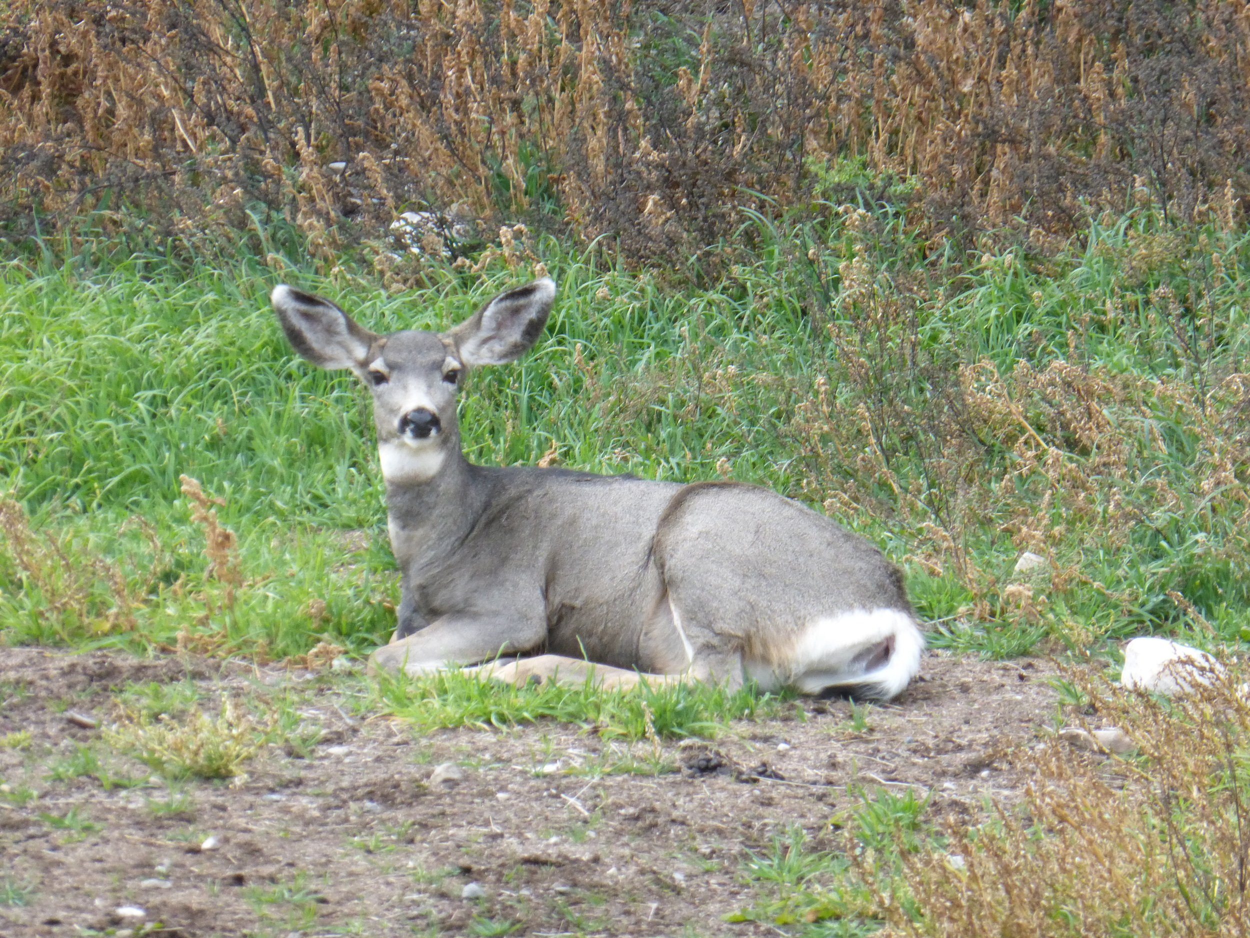 Glad to see someone was resting today! (click to see full image)