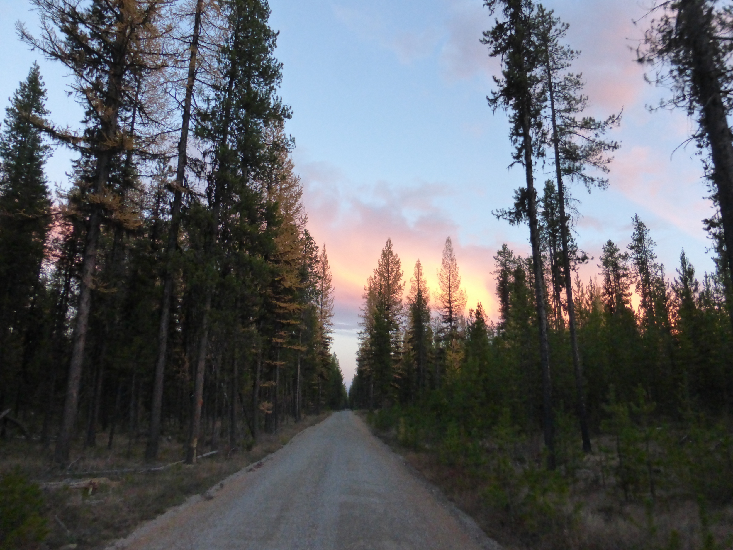 One of the perks of short days is seeing the sunset on the road. One of the drawbacks is riding in the dark :(