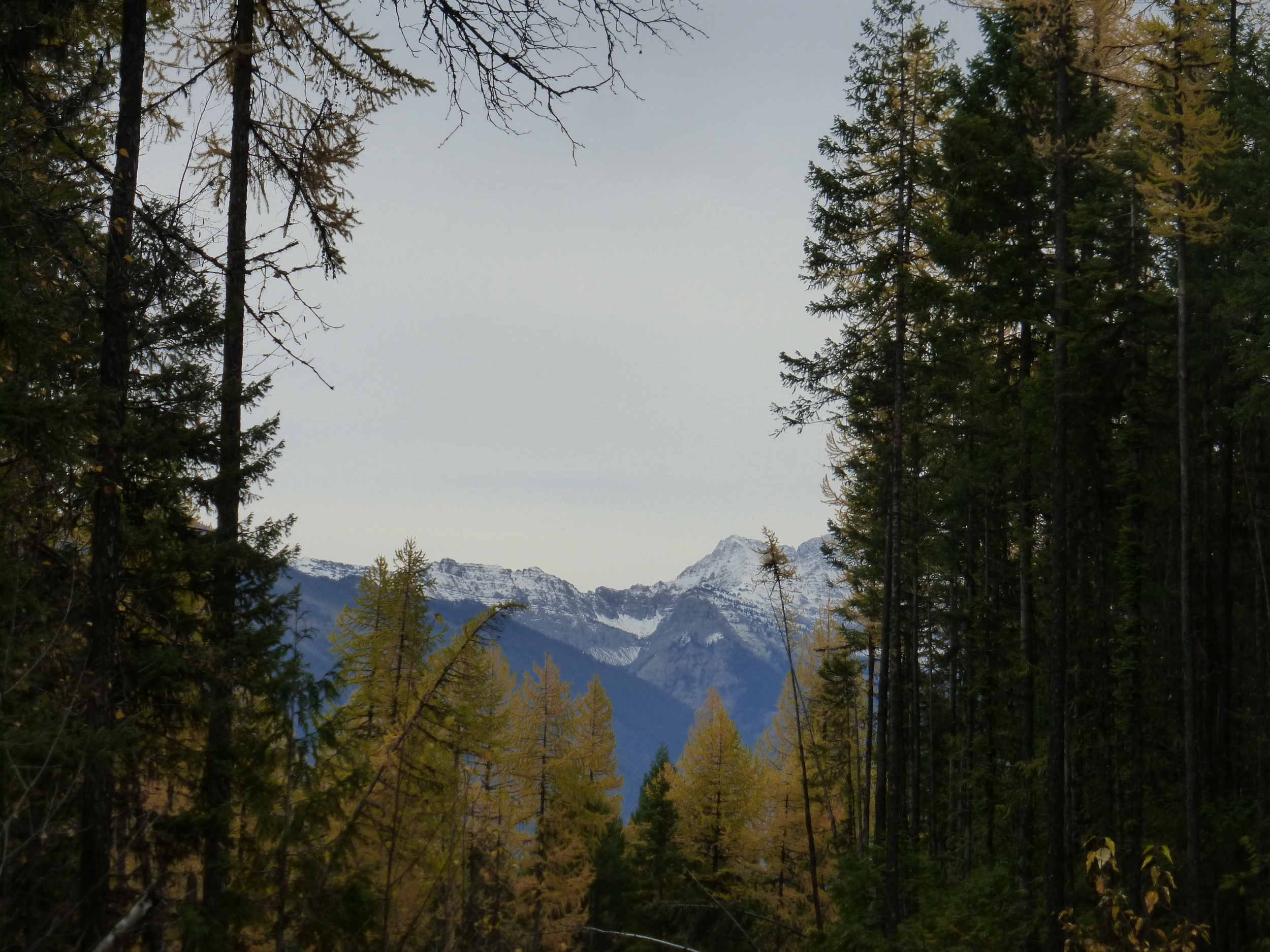 Normal
0
false
false
false
EN-US
X-NONE
X-NONE
The mountains always look so much better with snow cover but not this time. Seeing that white powder cover the peaks has me worried. How long until it's on the road?