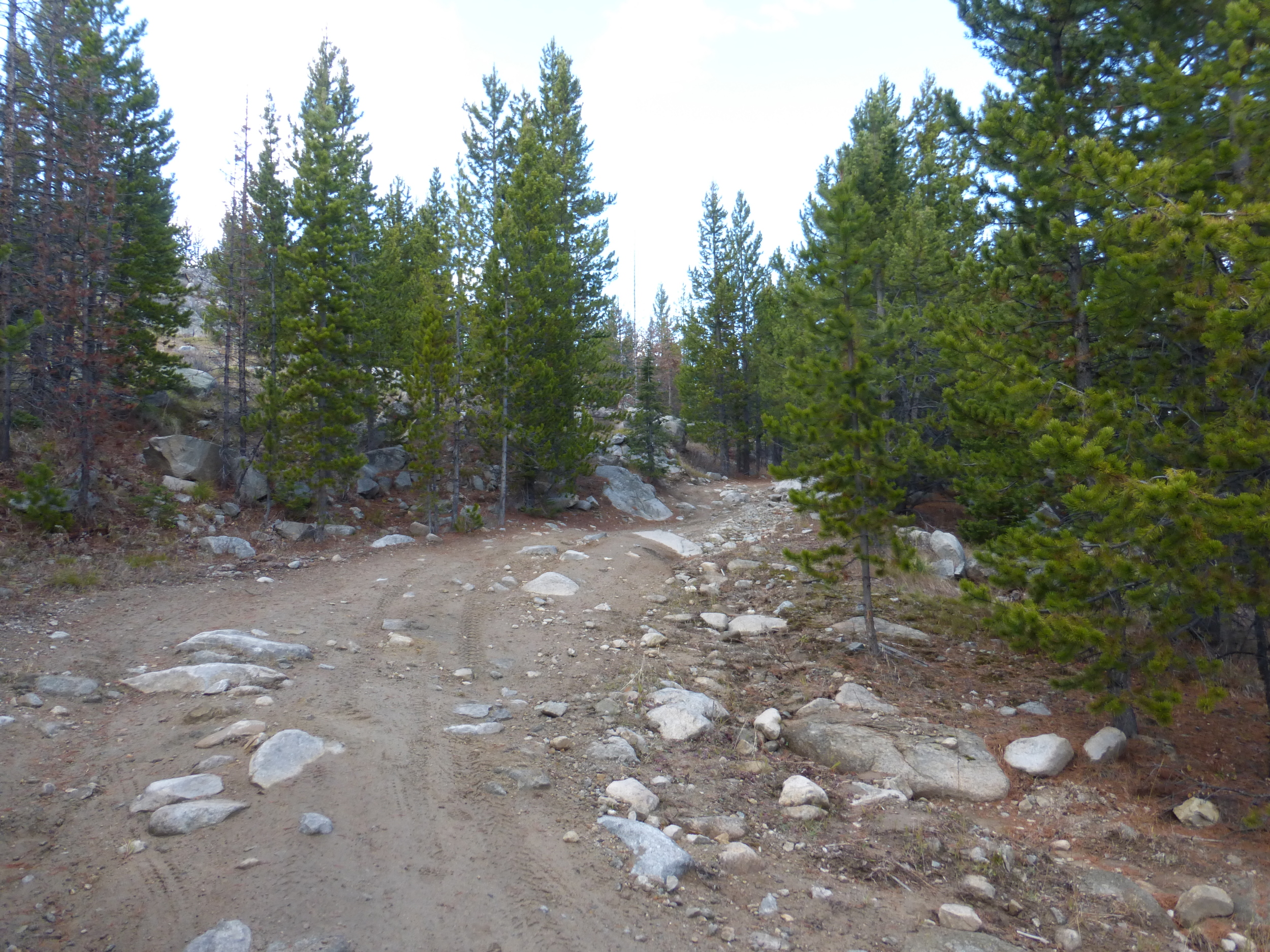 Rocky section in Montana