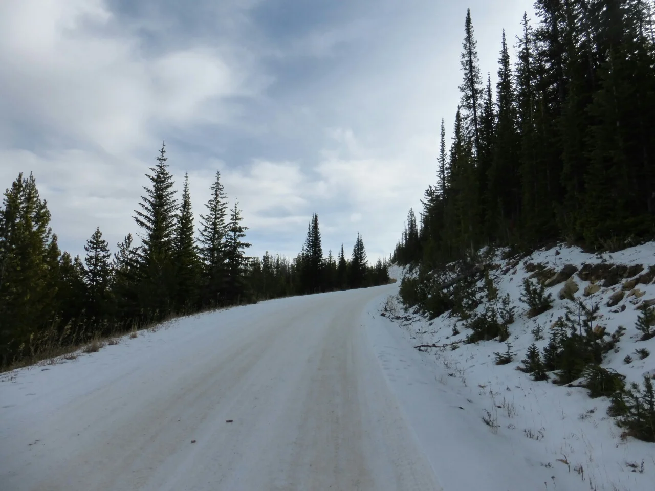 Union Pass road: the shady spots had snow but for the most part it was not a problem.