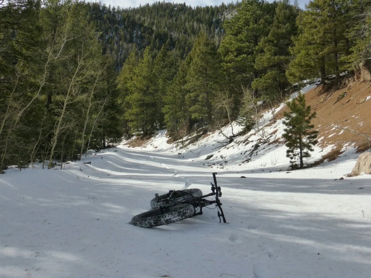 A fatbike in it's natural habitat