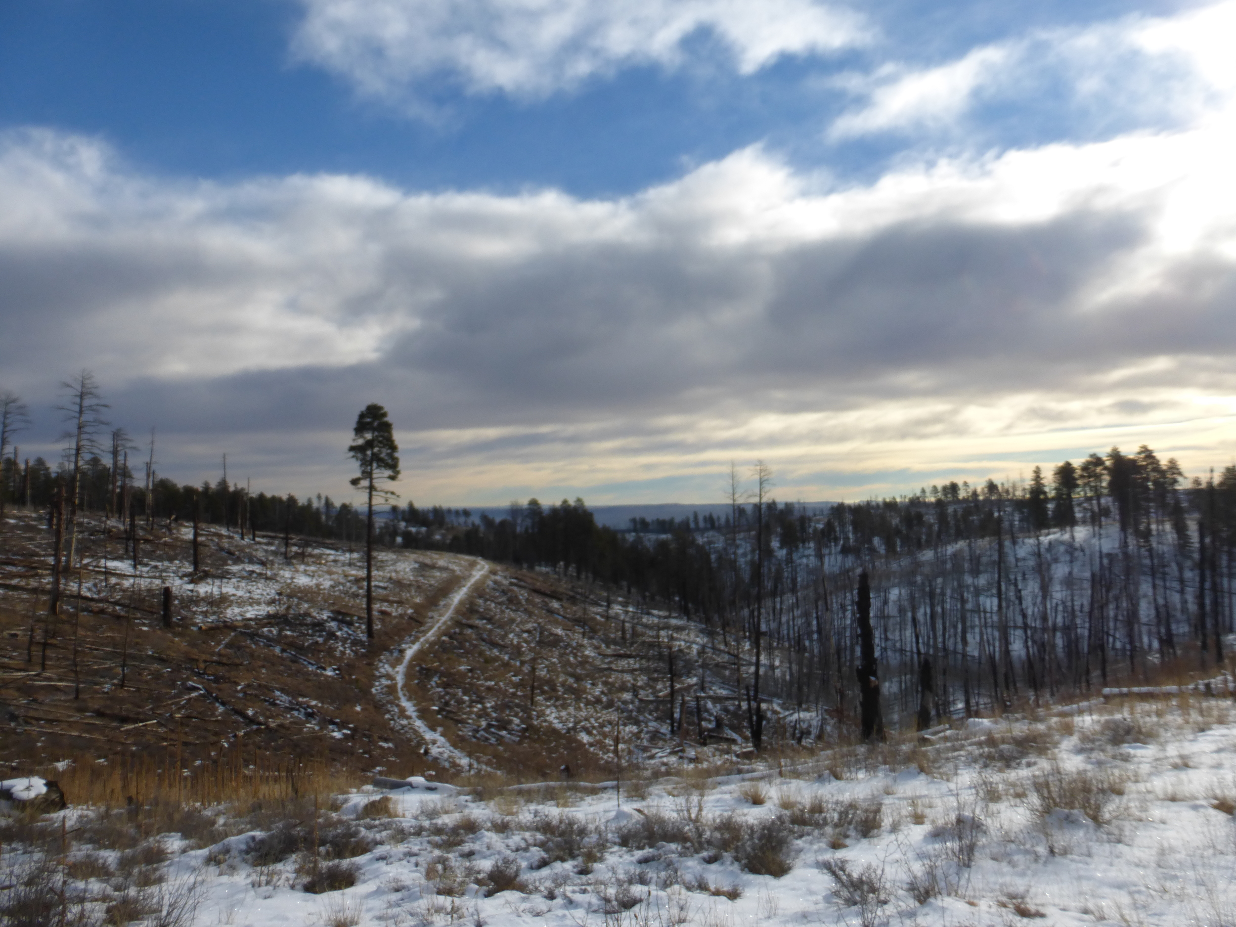 The Arizona Trail winding beside the highway
