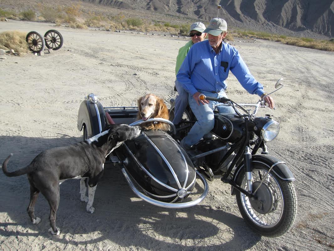 Rusty the motorcycle dog & friends. Photo: Bob
