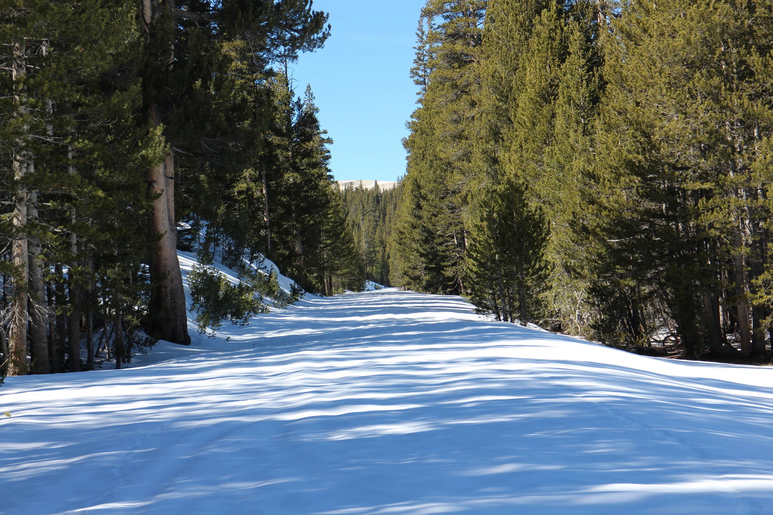 hyke & byke yosemite