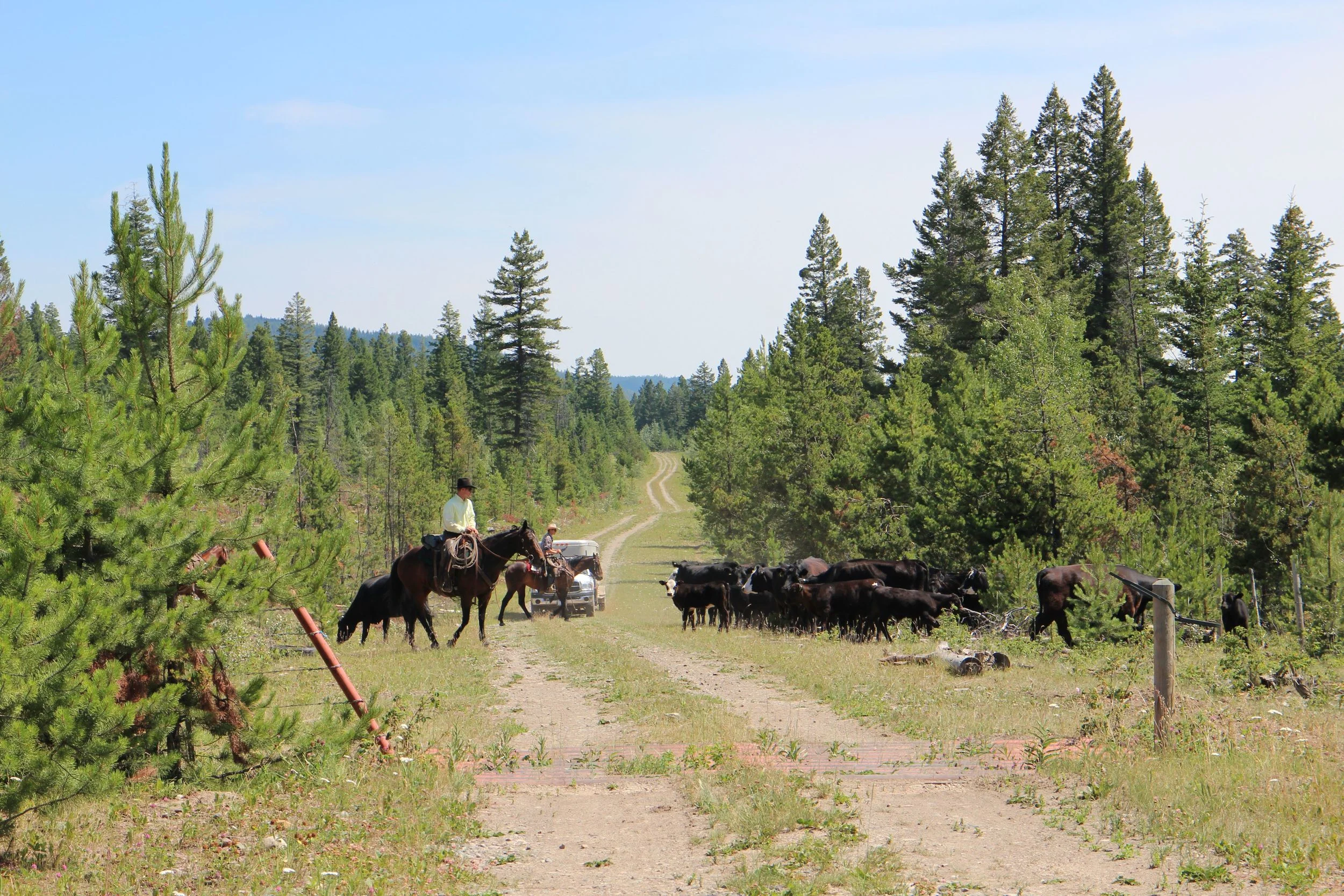 Cowboys on the road!