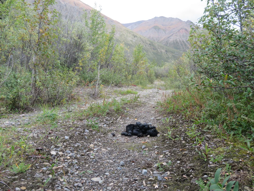 Canol Heritage Trail Map The Canol Heritage Trail (Nwt) — Bike Wanderer