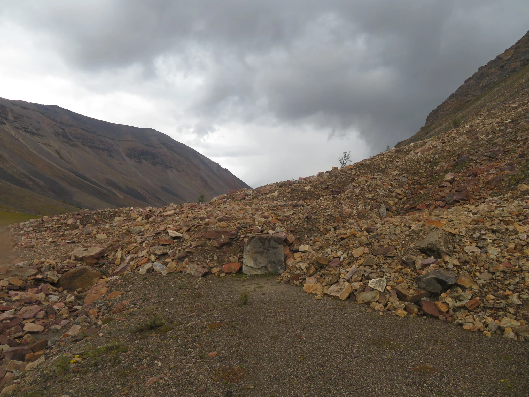 wanna see a magic trick? You see the road? Bam - it's gone!