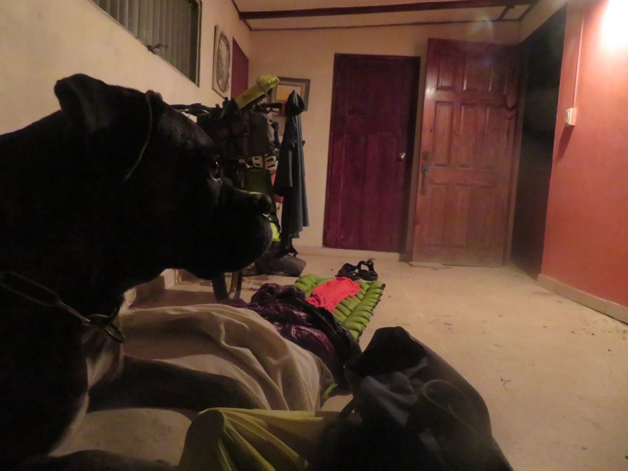 best part was that I had good company!