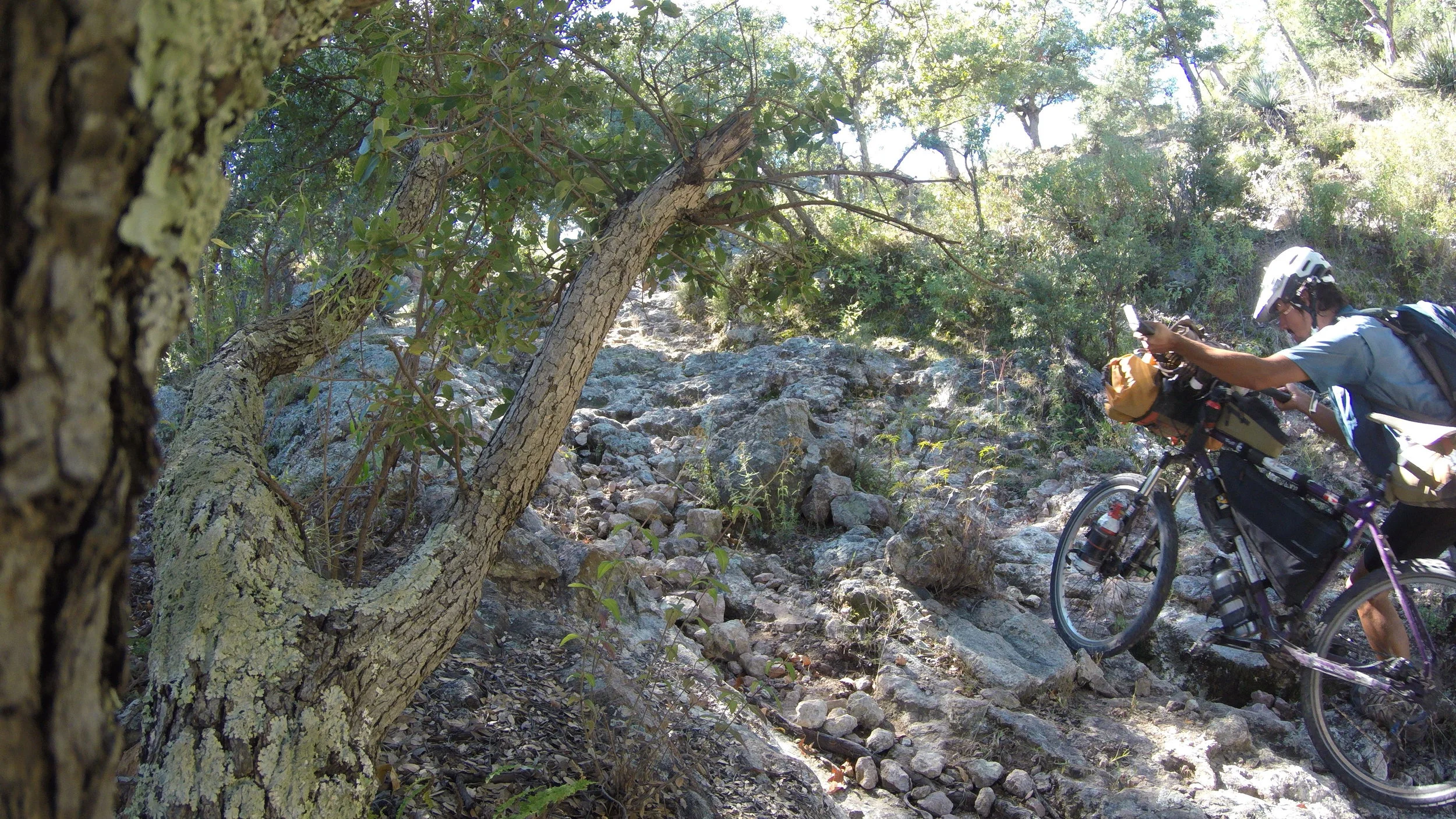 G0036671.JPG