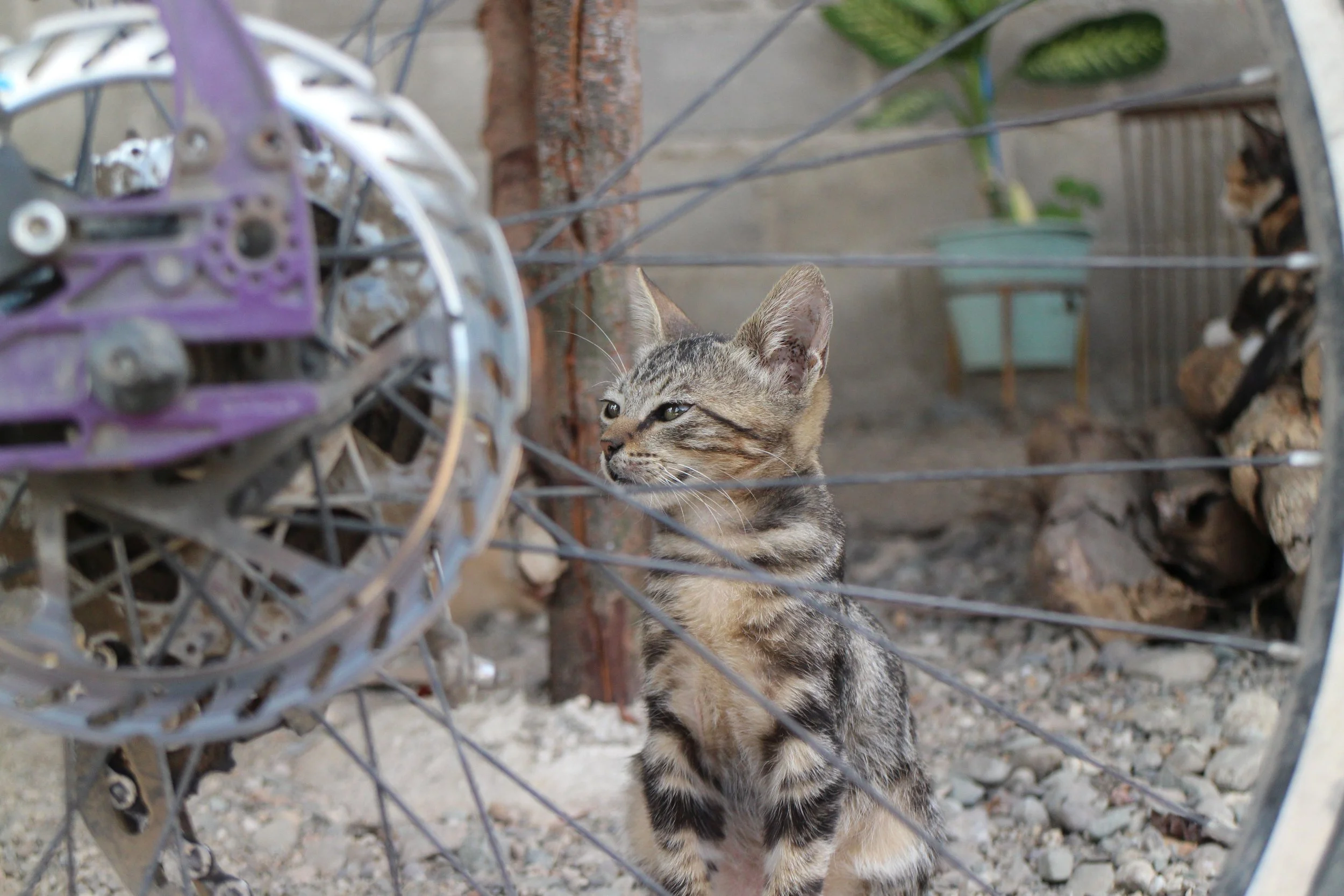 "dude... when was the last time you cleaned your chain?"