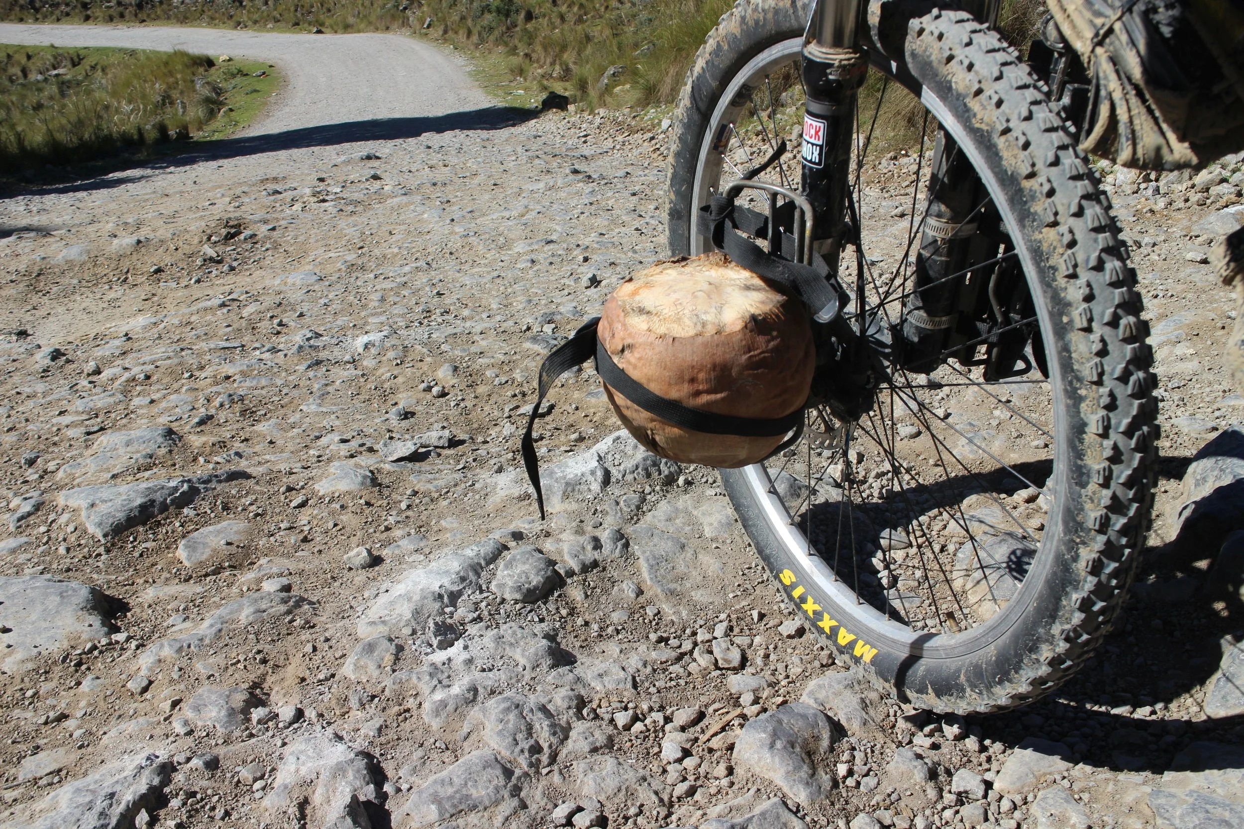 Bring a drybag, melons, coconuts or your baby brother along!