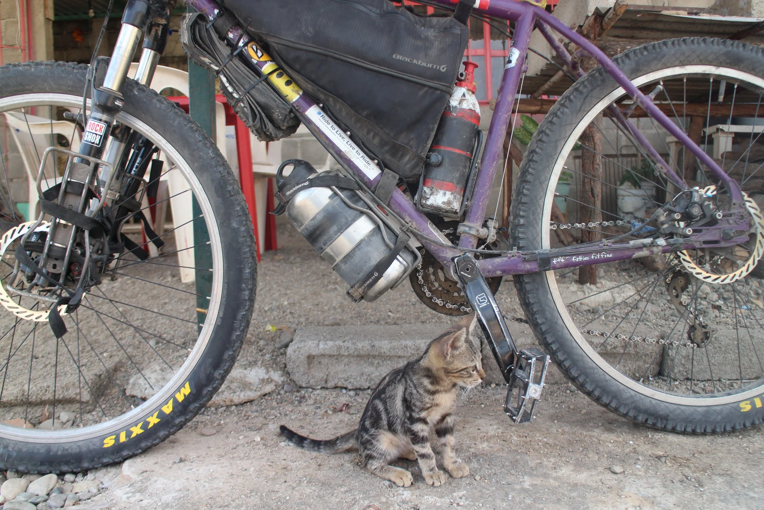 Year 2, Bikes Review, and Bags too