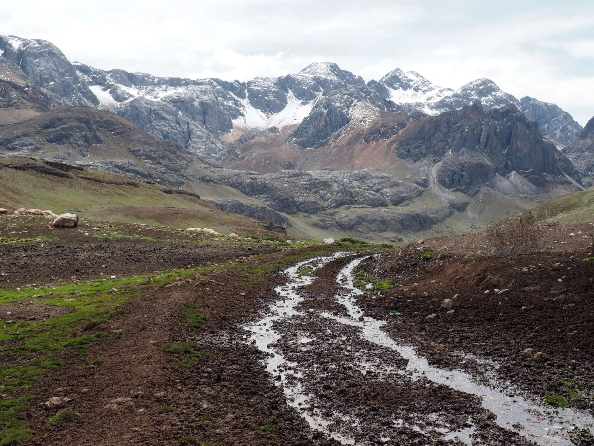 alpacka poop can be very... very sticky when wet. My fat tires swell up to like 5.3¨ when covered in it.