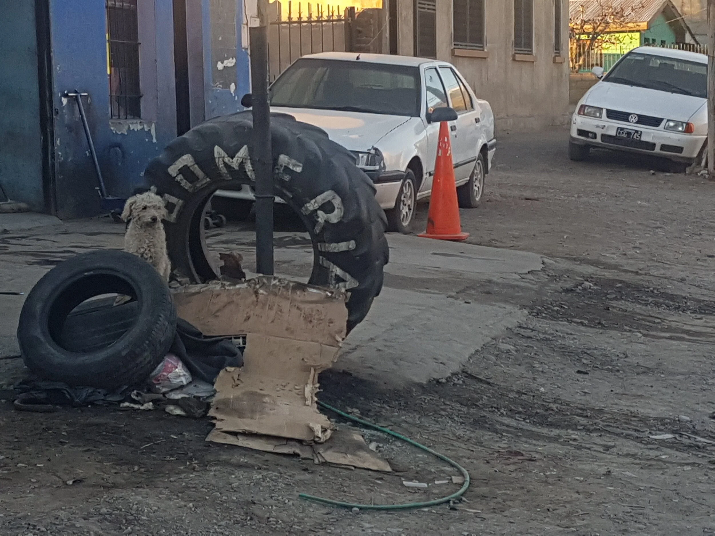 20190903_185135.jpg